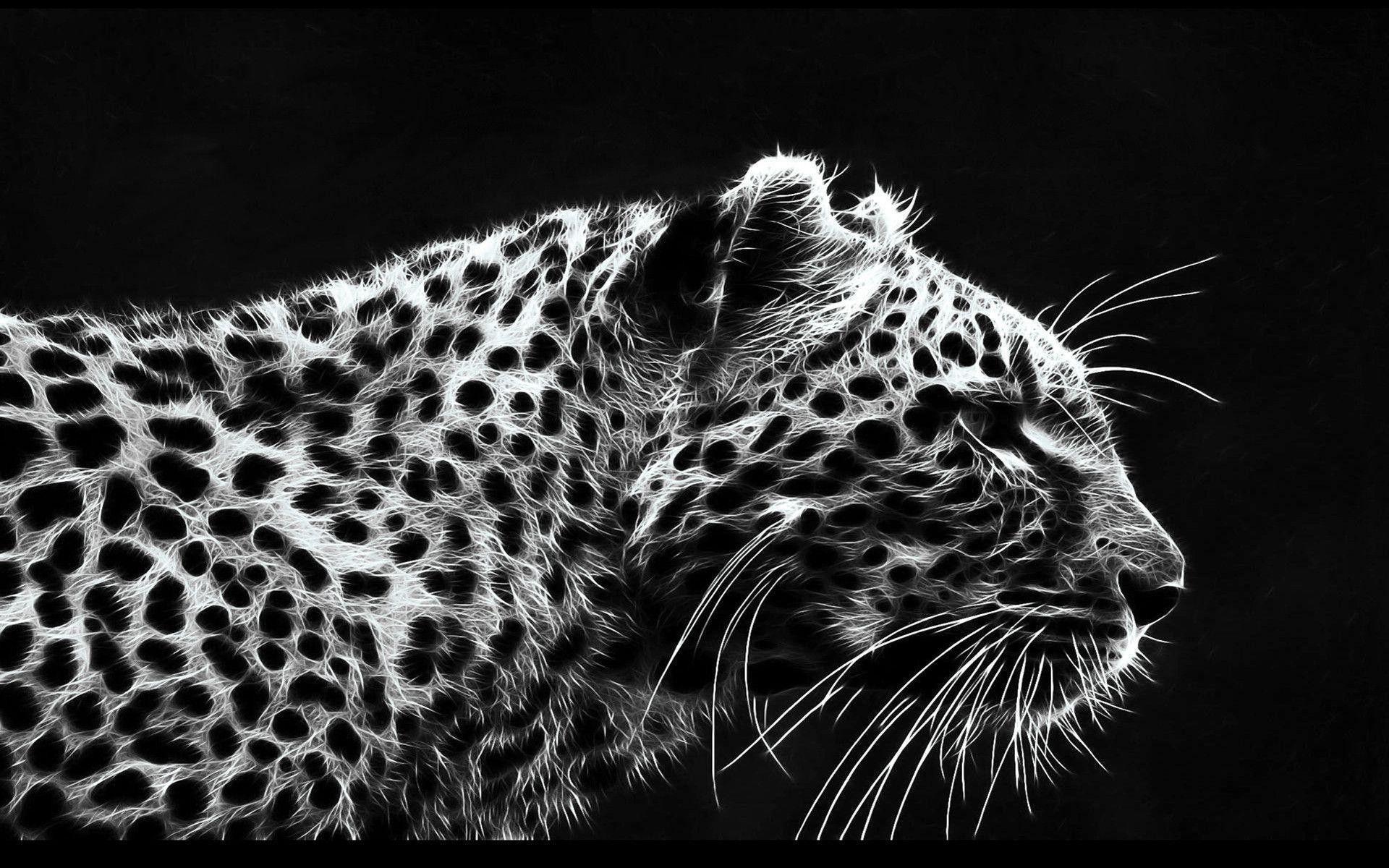 Leopard Wallpapers Top Free Leopard Backgrounds WallpaperAccess