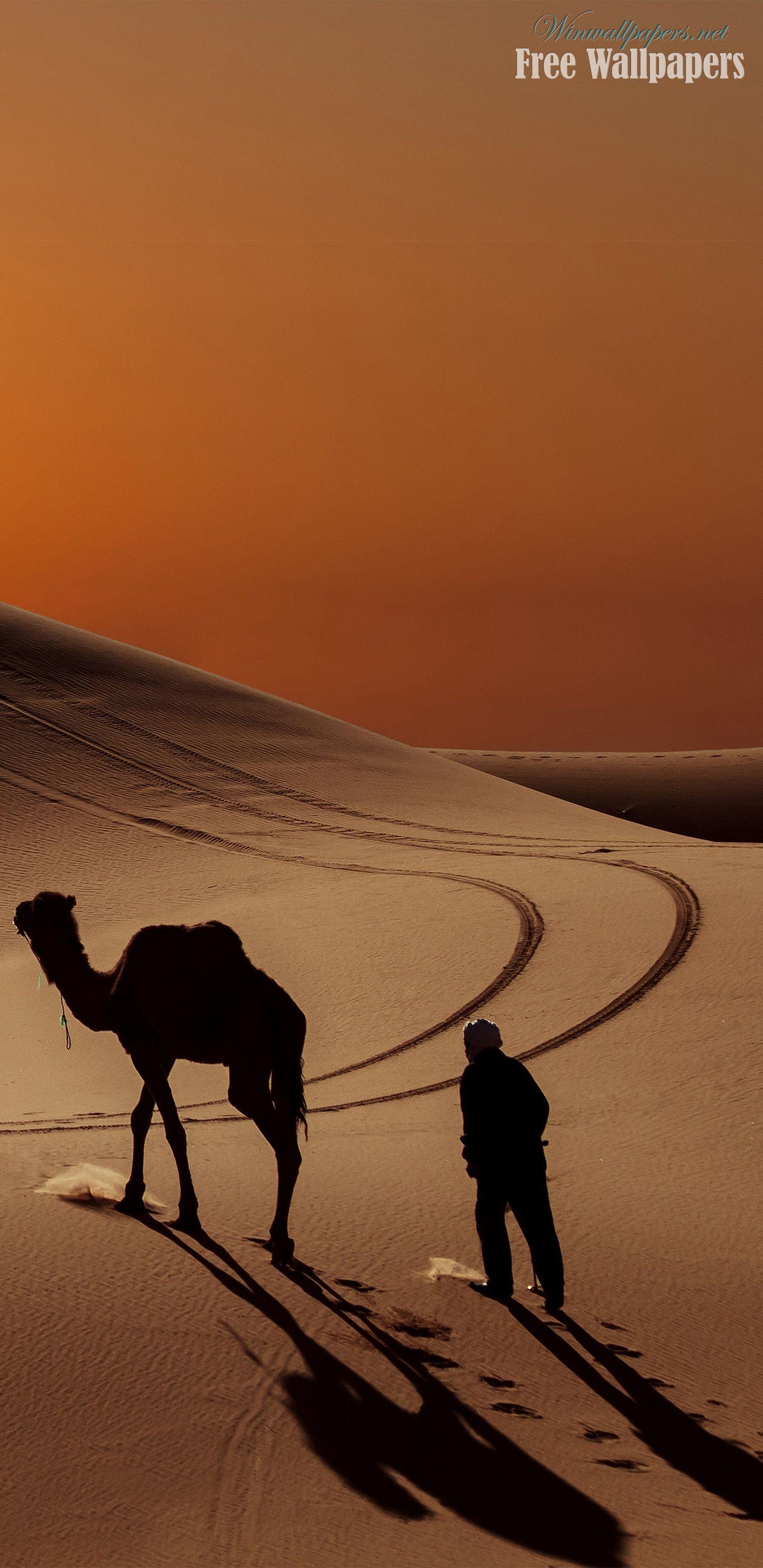 Samsung Galaxy 8 Wallpapers Top Free Samsung Galaxy 8 Backgrounds