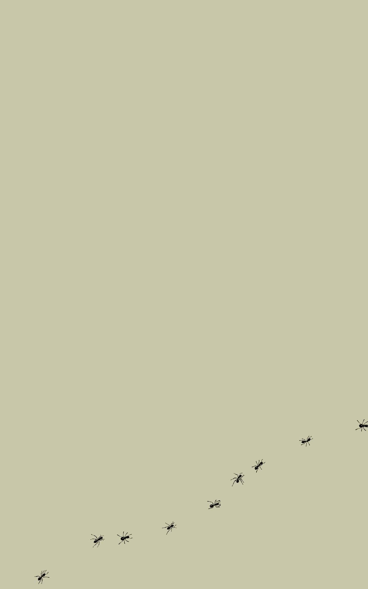 Minimal iPad Wallpapers Top Free Minimal iPad Backgrounds