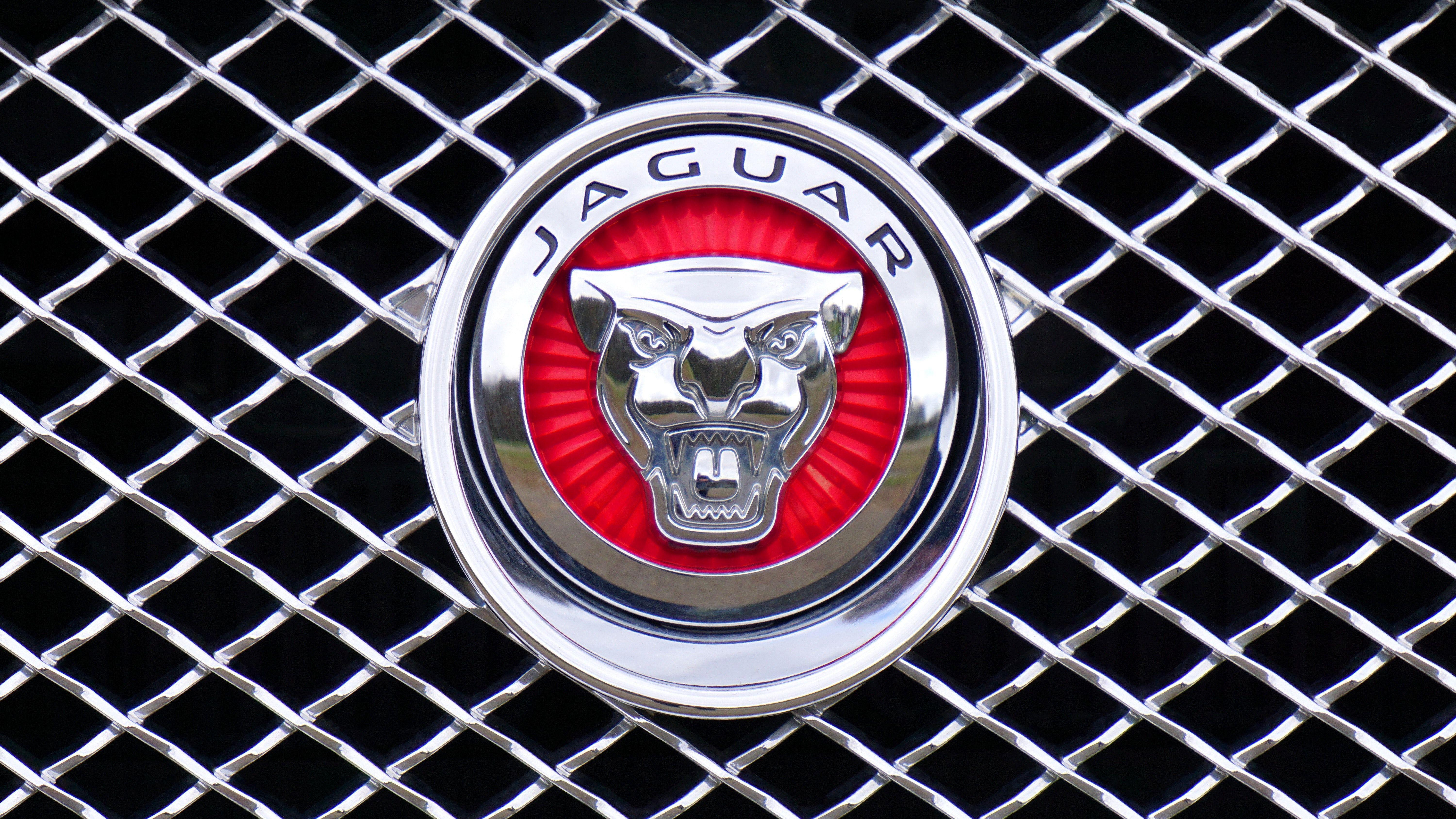 Jaguar Logo Wallpapers Top Free Jaguar Logo Backgrounds WallpaperAccess