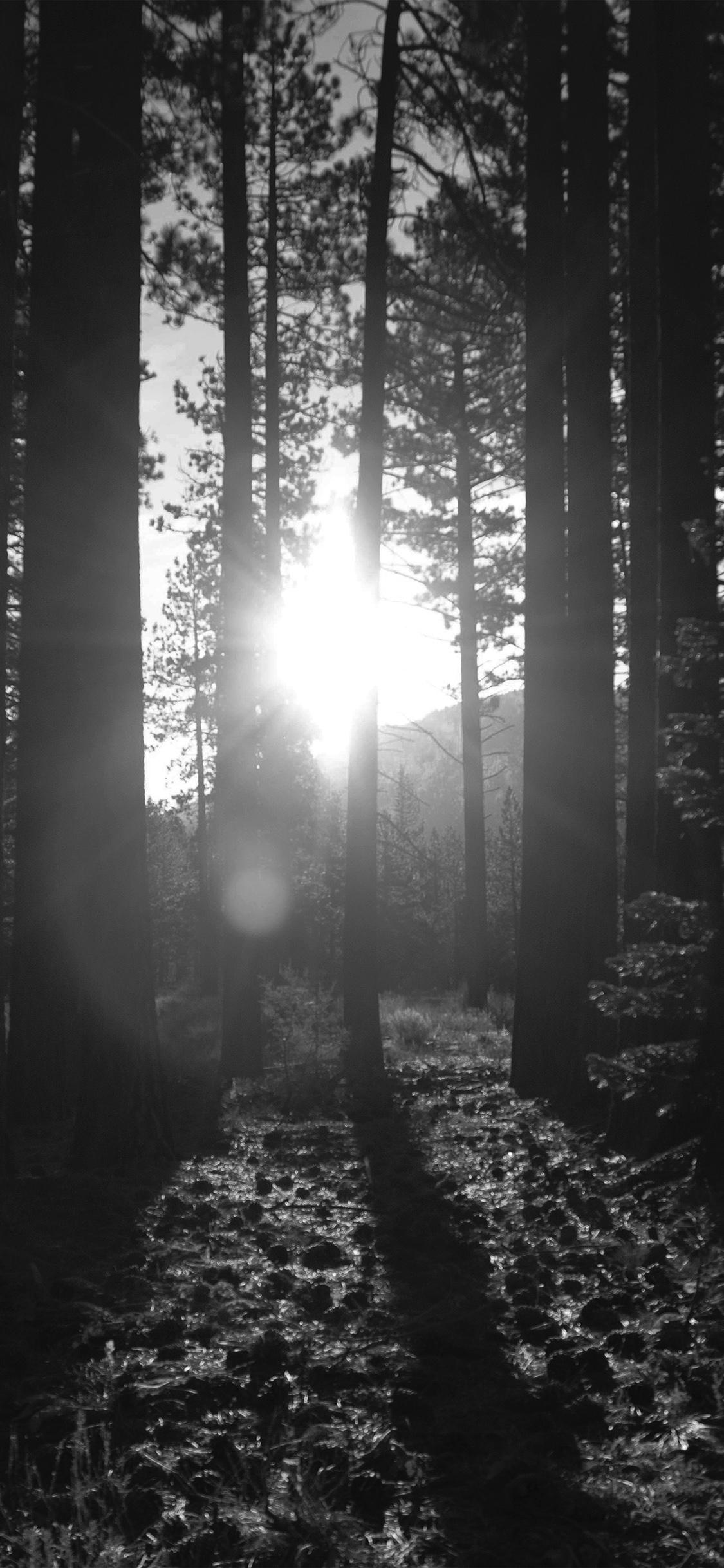 Dark Mysterious Wallpapers Top Free Dark Mysterious Backgrounds