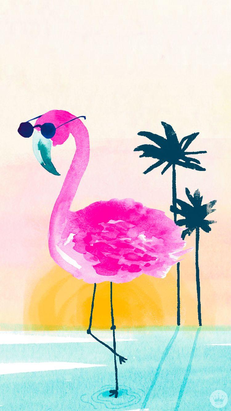 Cartoon Flamingo Wallpapers Top Free Cartoon Flamingo Backgrounds