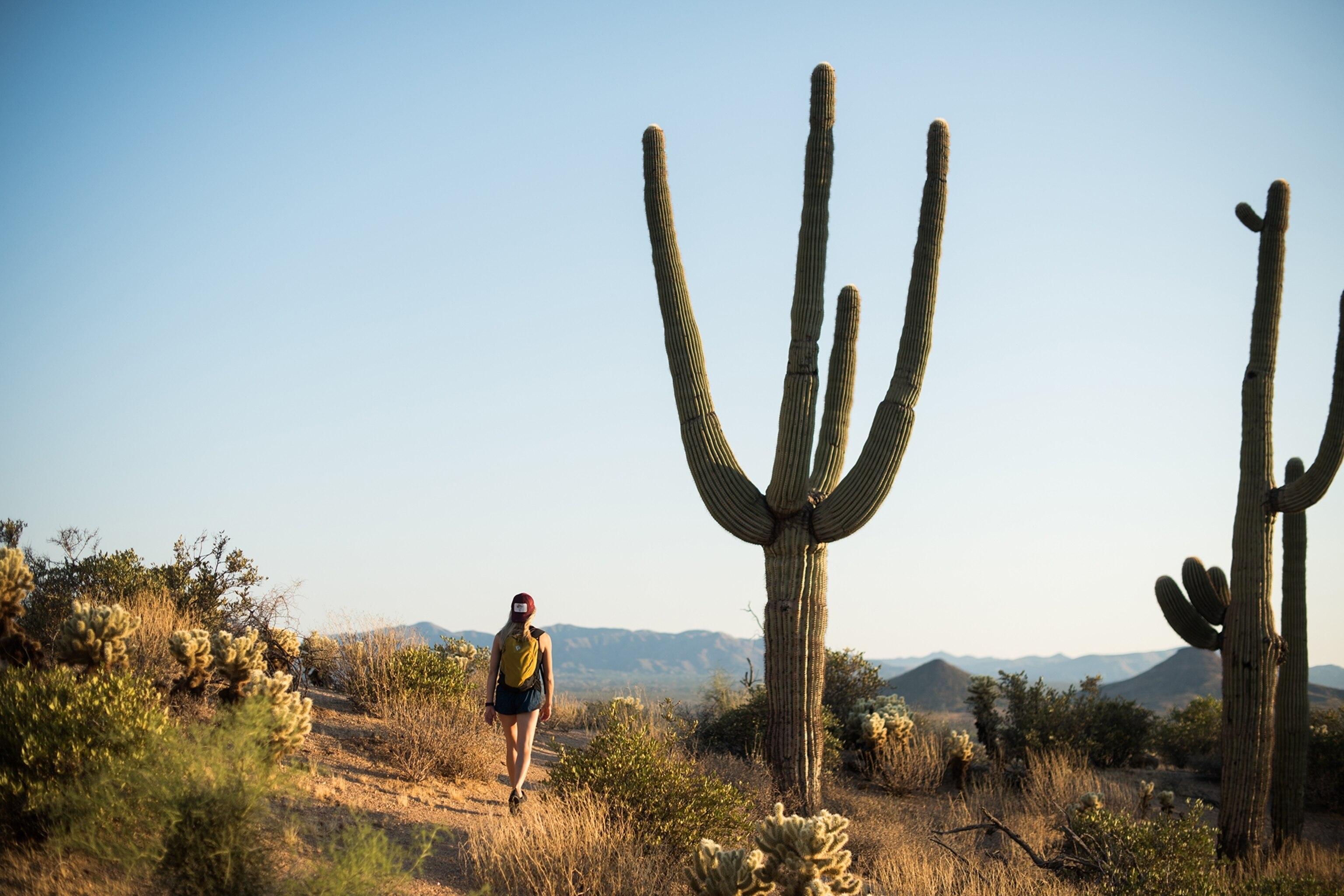 Scottsdale Arizona Wallpapers Top Free Scottsdale Arizona Backgrounds