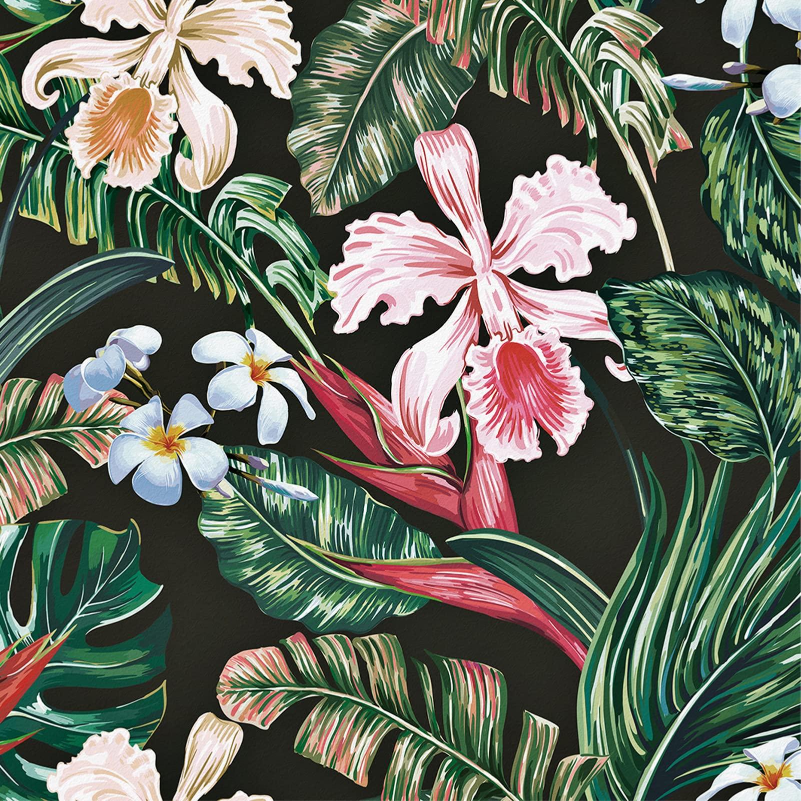 Tropical Flower Wallpapers Top Free Tropical Flower Backgrounds