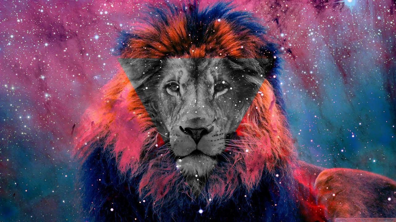 Galaxy Lion Wallpapers Top Free Galaxy Lion Backgrounds WallpaperAccess