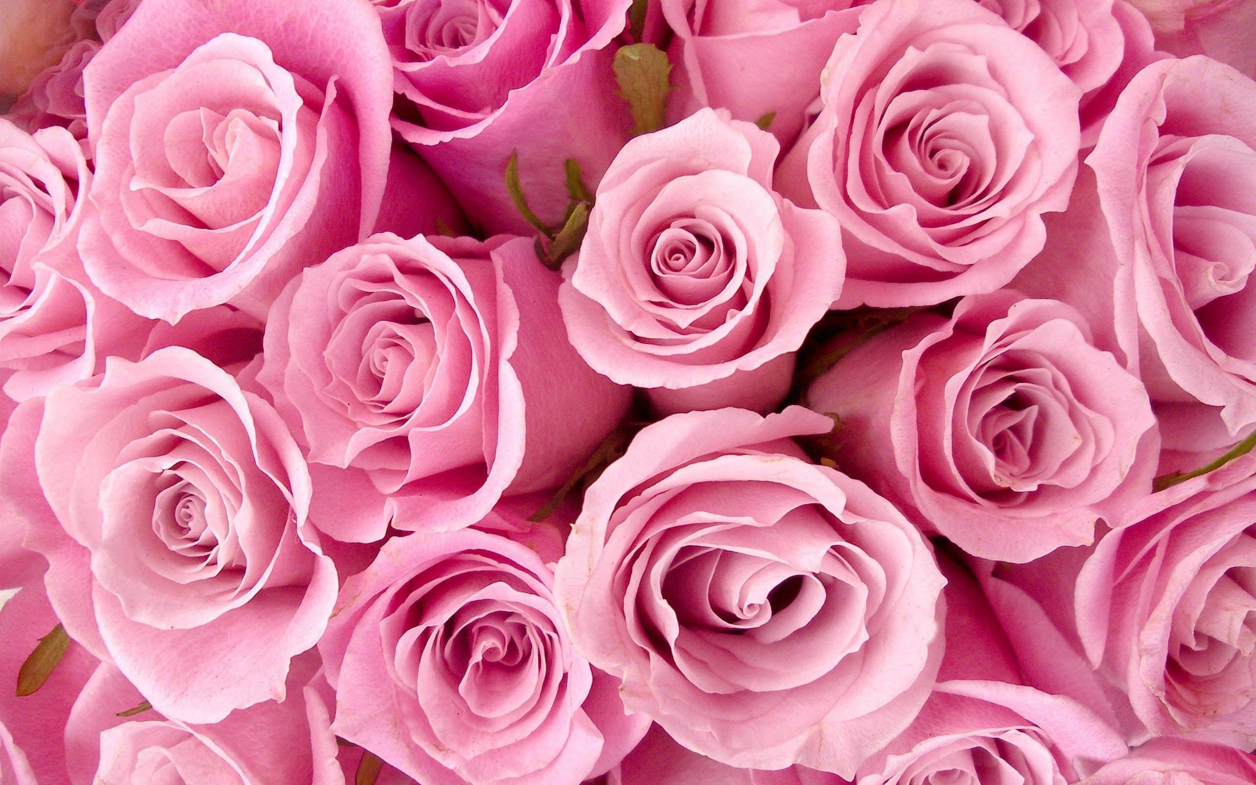 Pink Flowers Aesthetic Laptop Wallpaper