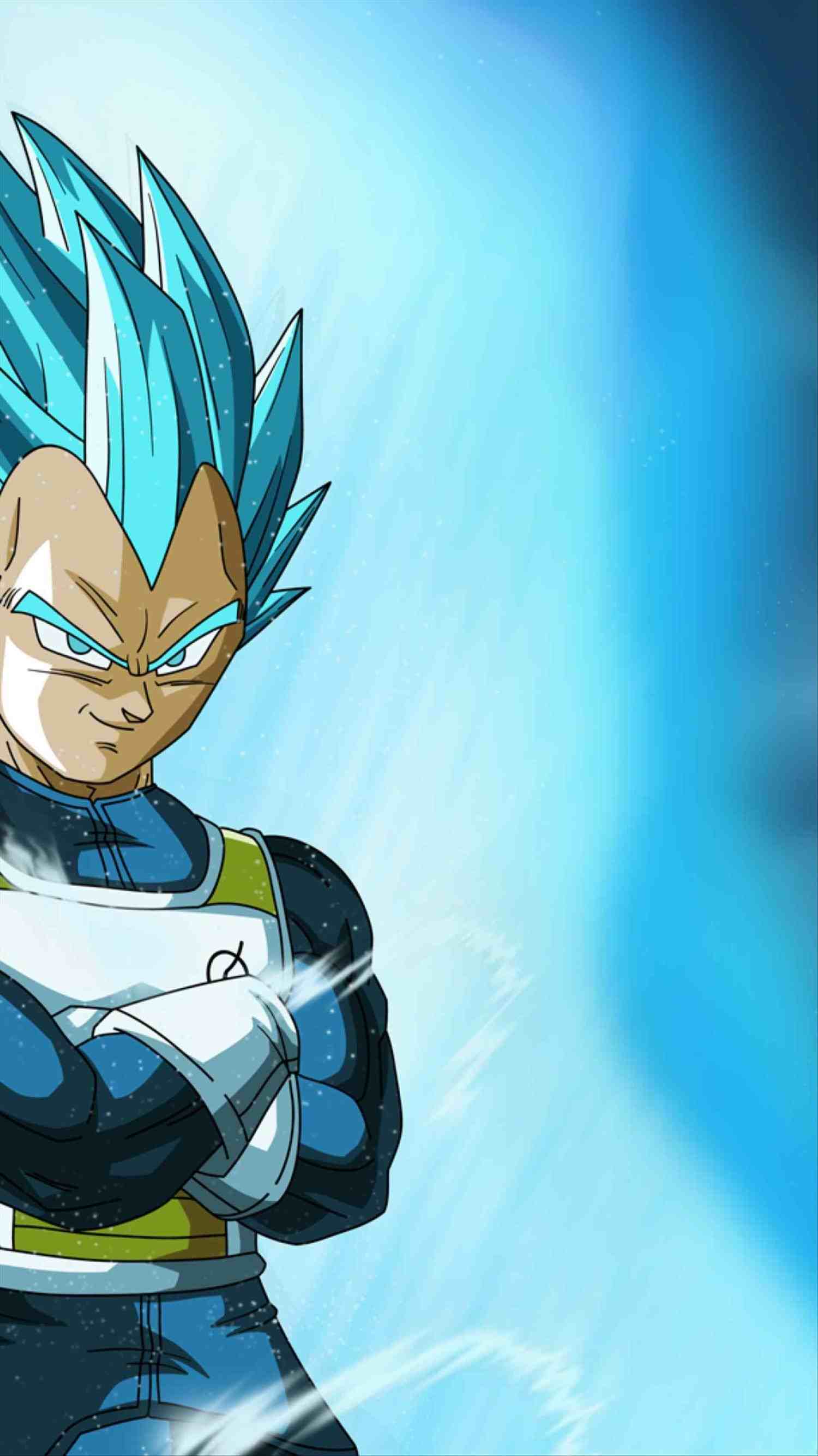 Vegeta Super Saiyan Blue Wallpapers Top Free Vegeta Super Saiyan Blue