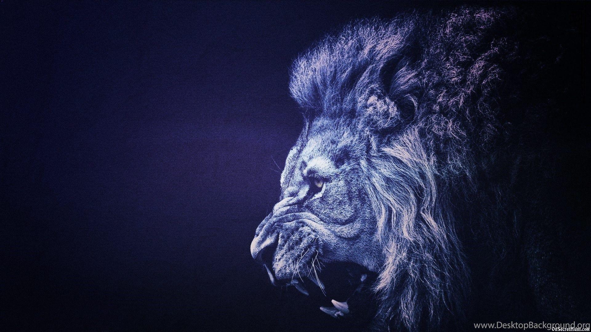 Lions Motivation Ultra HD Wallpapers Top Free Lions Motivation Ultra