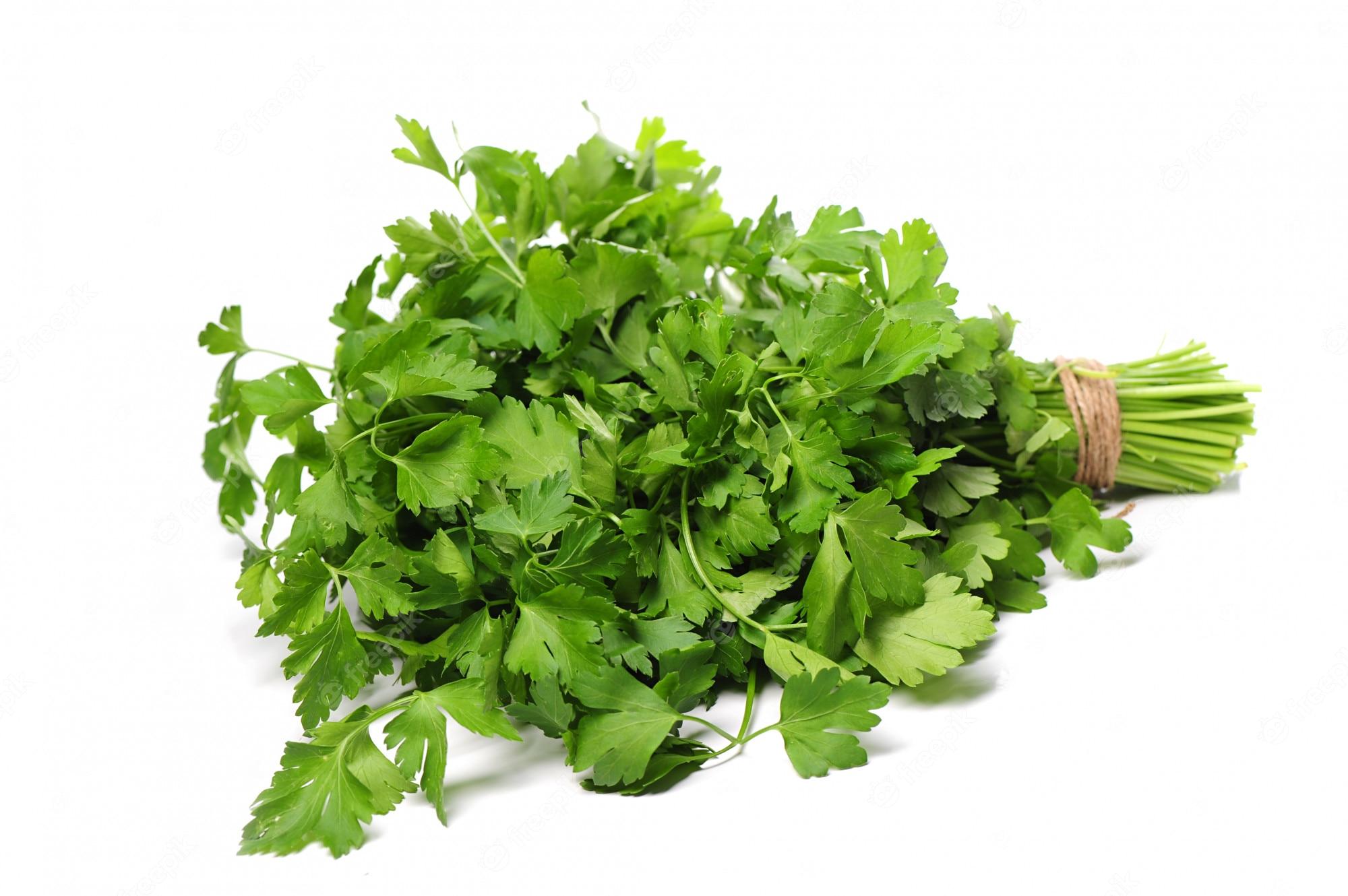 Coriander Wallpapers Top Free Coriander Backgrounds WallpaperAccess