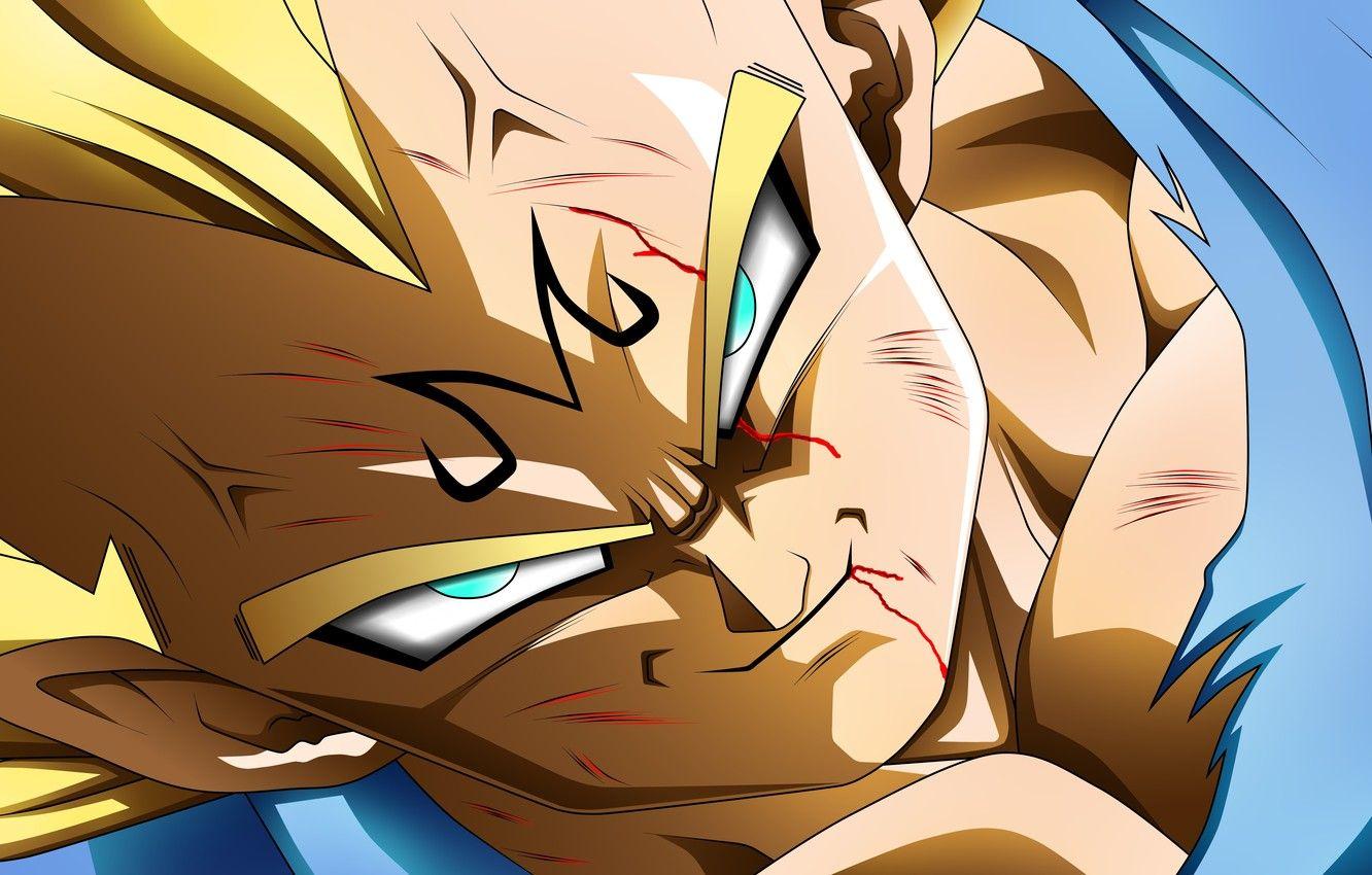 Majin Vegeta Wallpapers Top Free Majin Vegeta
