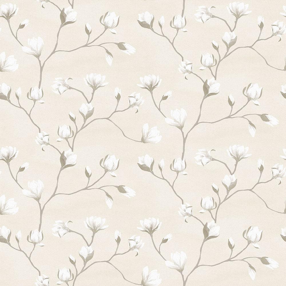 Cream White Wallpapers Top Free Cream White Backgrounds WallpaperAccess
