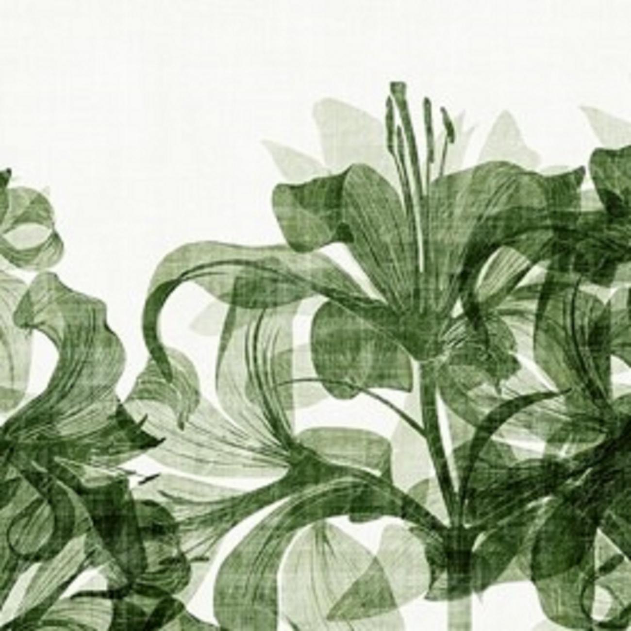 Smell Wallpapers Top Free Smell Backgrounds WallpaperAccess