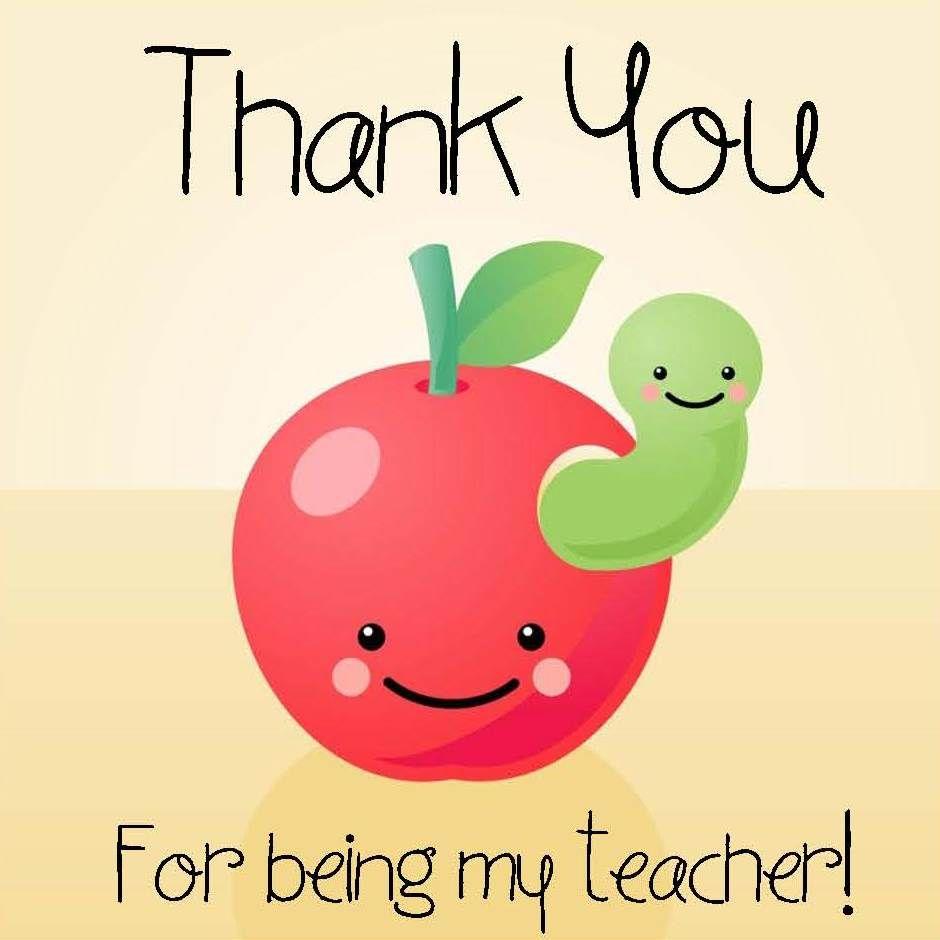 Thank You Teacher Wallpapers Top Free Thank You Teacher Backgrounds
