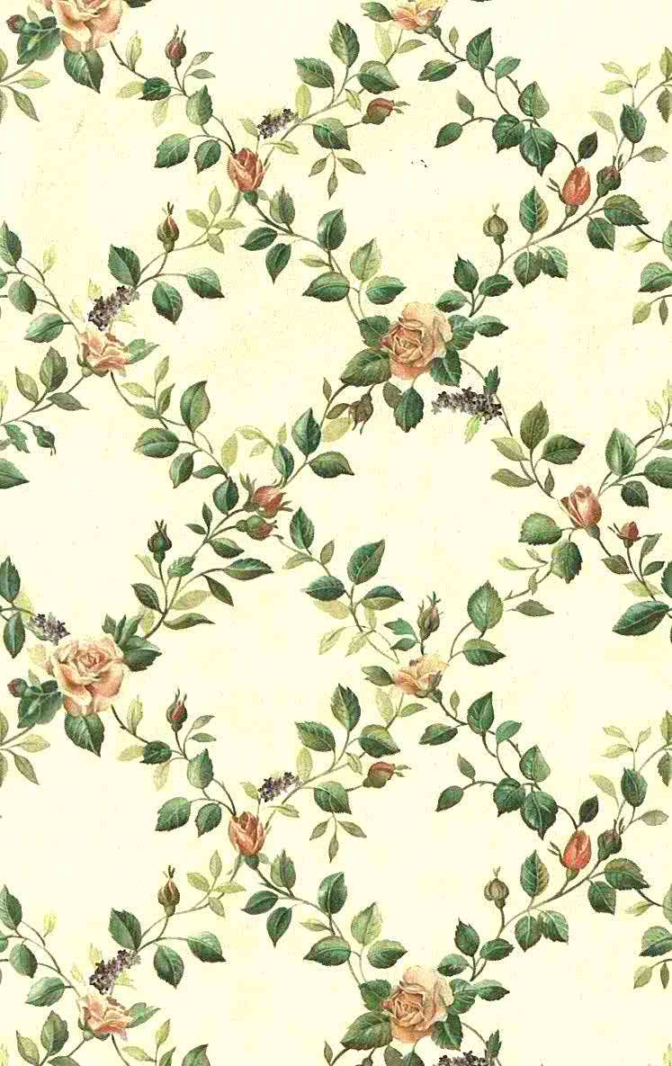 Green Vines Wallpapers Top Free Green Vines Backgrounds WallpaperAccess