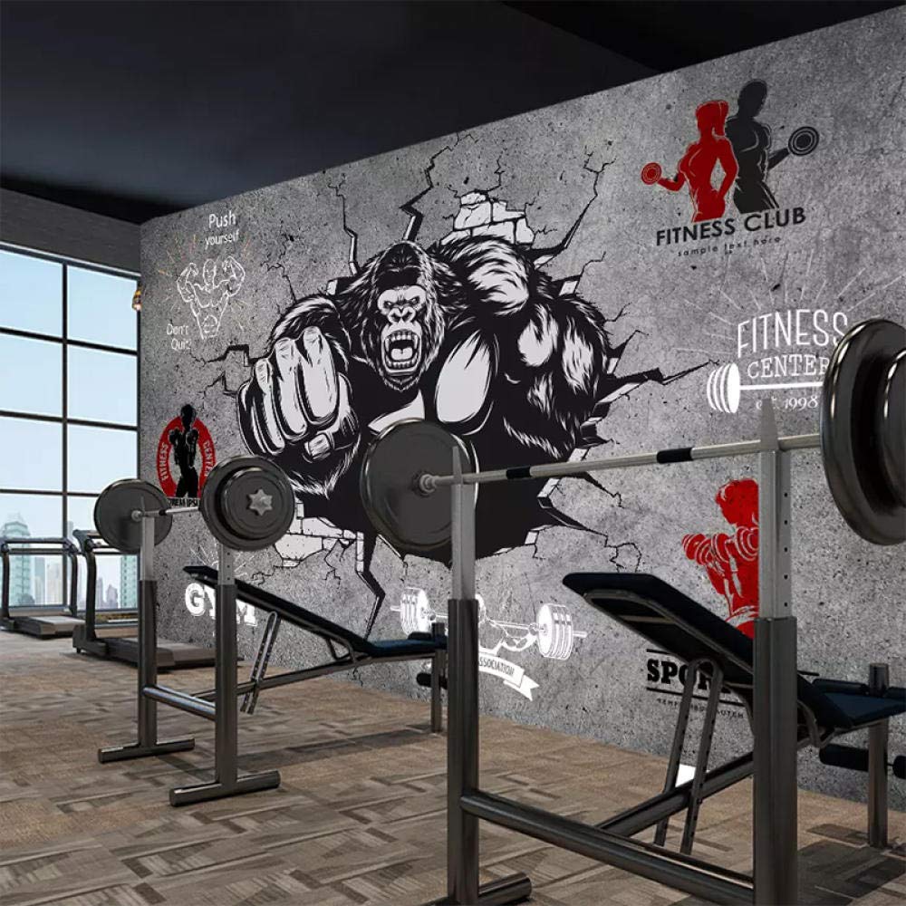 Fitness Room Wallpapers Top Free Fitness Room Backgrounds