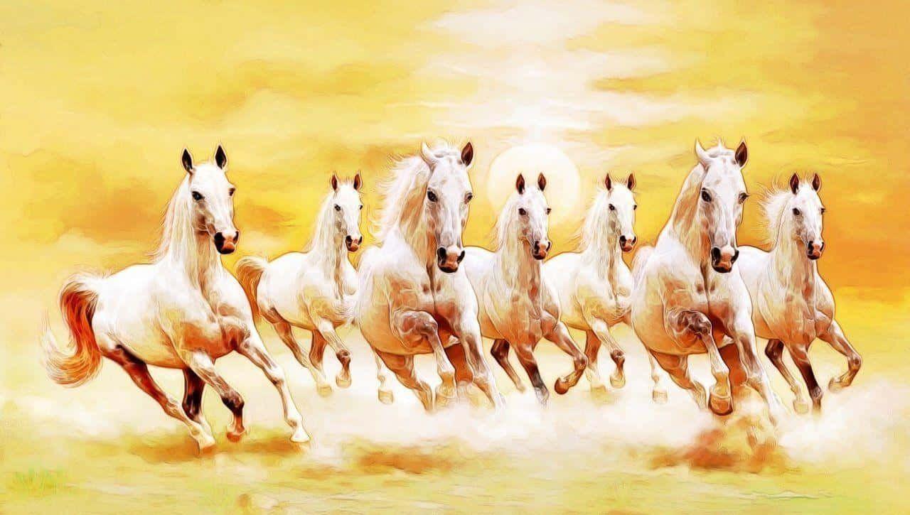 7 White Horse Wallpapers Top Free 7 White Horse Backgrounds