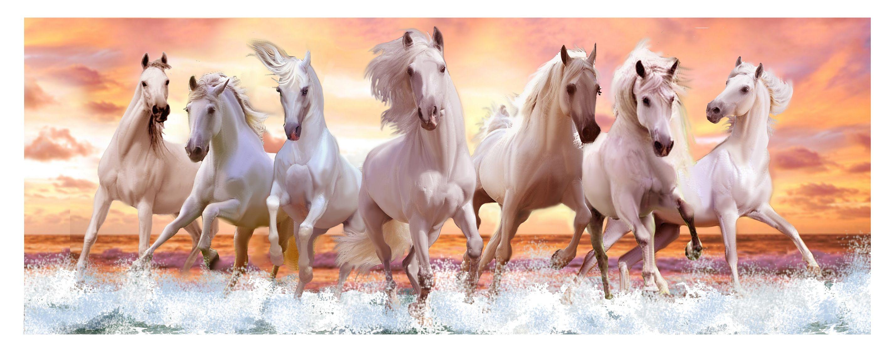 7 Running Horses Wallpapers Top Free 7 Running Horses Backgrounds