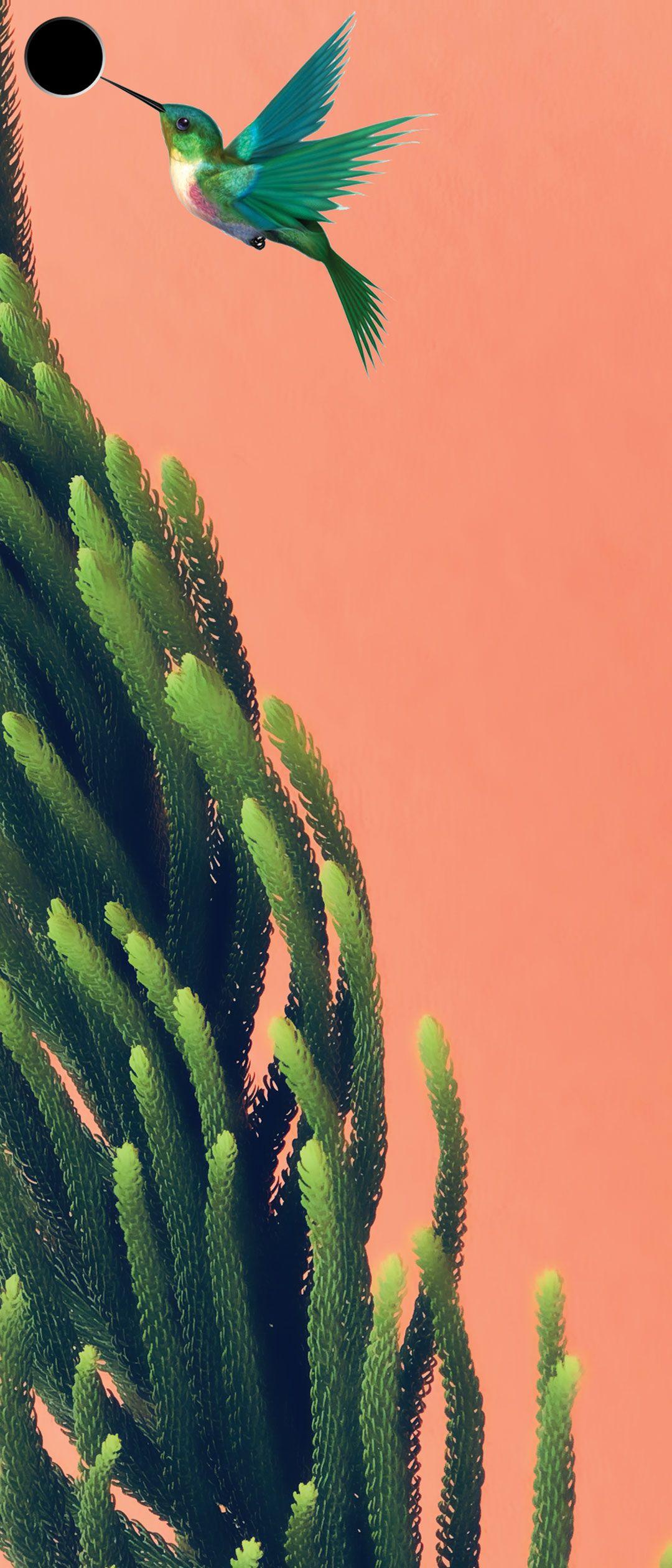 Anime Punch Hole Wallpapers Top Free Anime Punch Hole Backgrounds