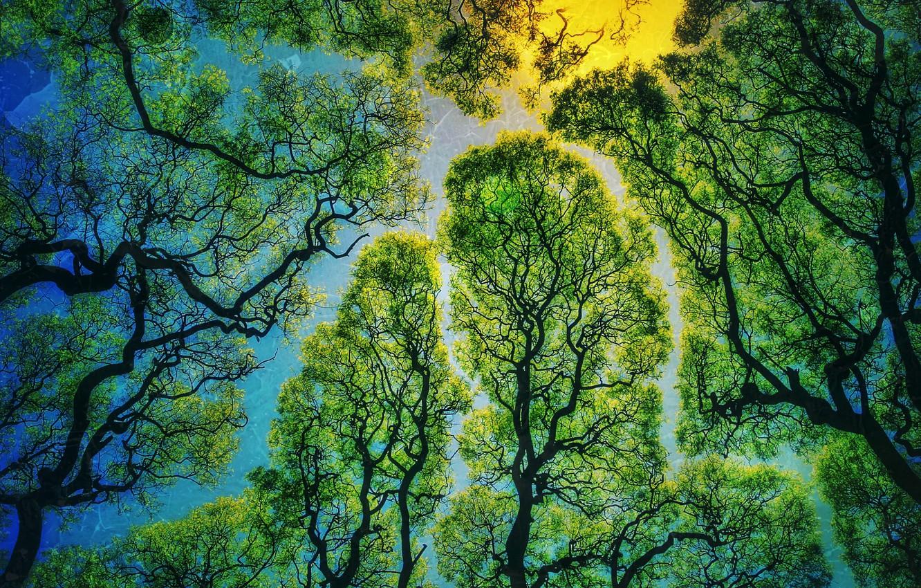 Nature Texture Wallpapers Top Free Nature Texture Backgrounds