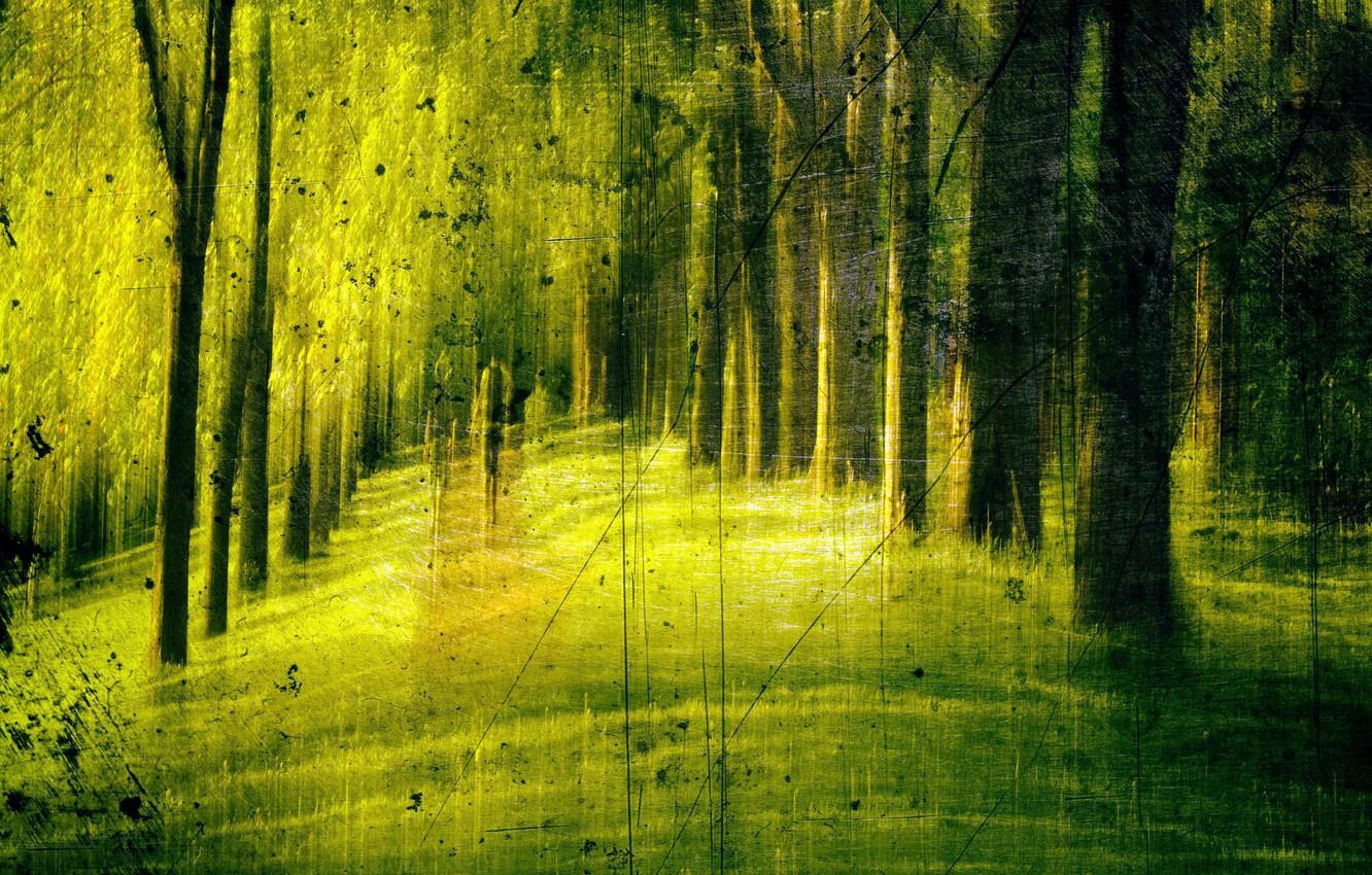 Nature Texture Wallpapers Top Free Nature Texture Backgrounds