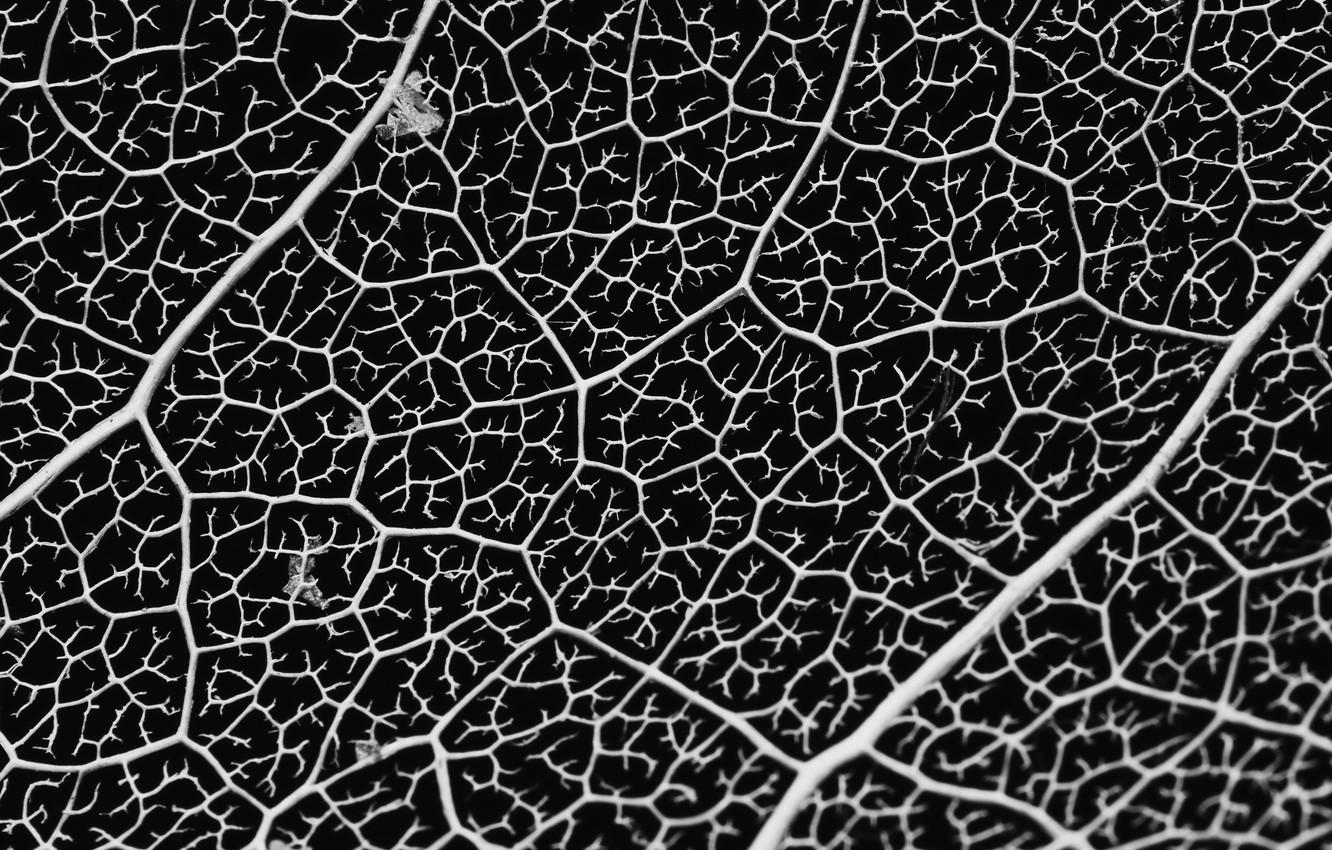 Nature Texture Wallpapers Top Free Nature Texture Backgrounds