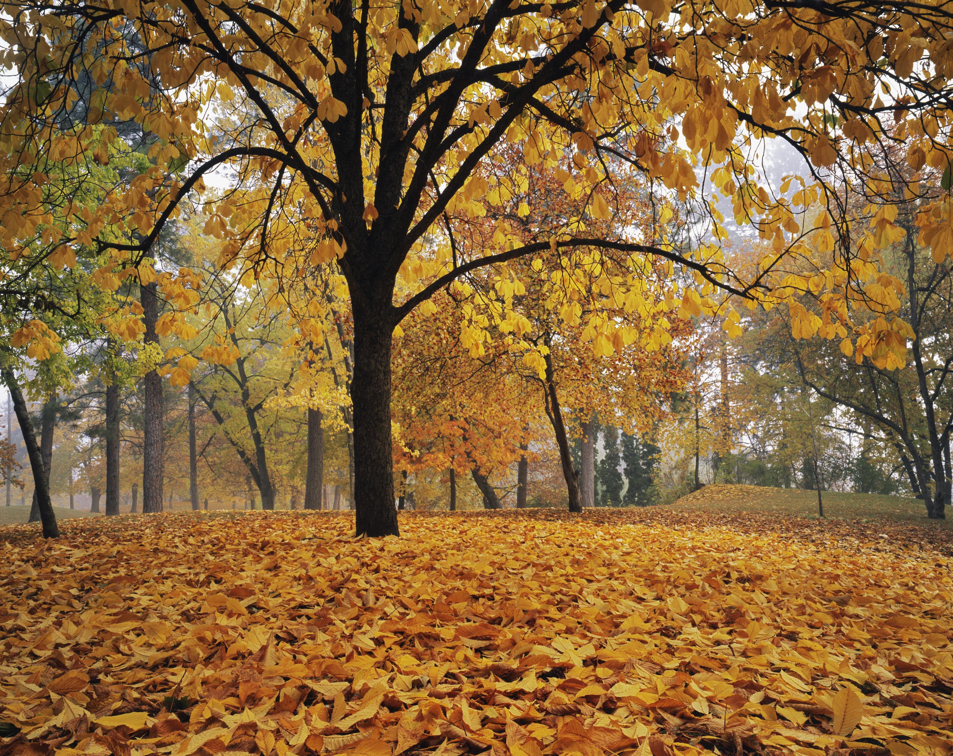 Spokane Wallpapers Top Free Spokane Backgrounds WallpaperAccess