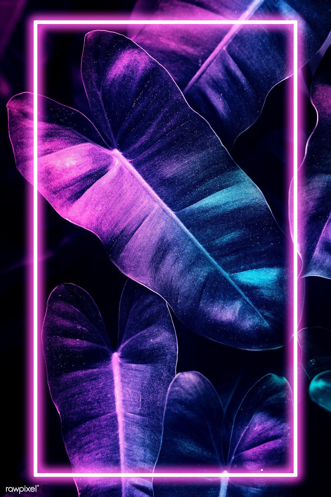 Tropical Neon Wallpapers Top Free Tropical Neon Backgrounds