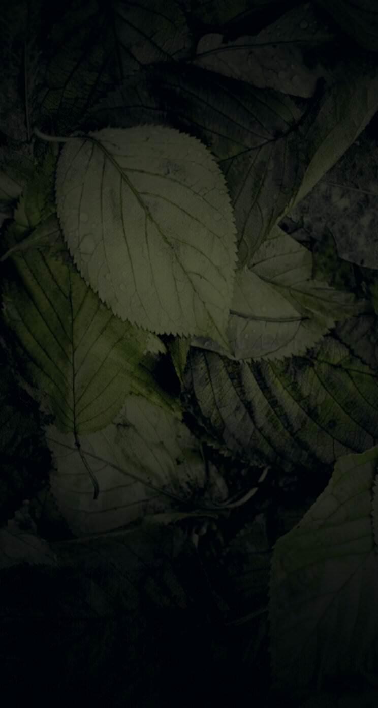 Gelap Wallpapers Top Free Gelap Backgrounds WallpaperAccess