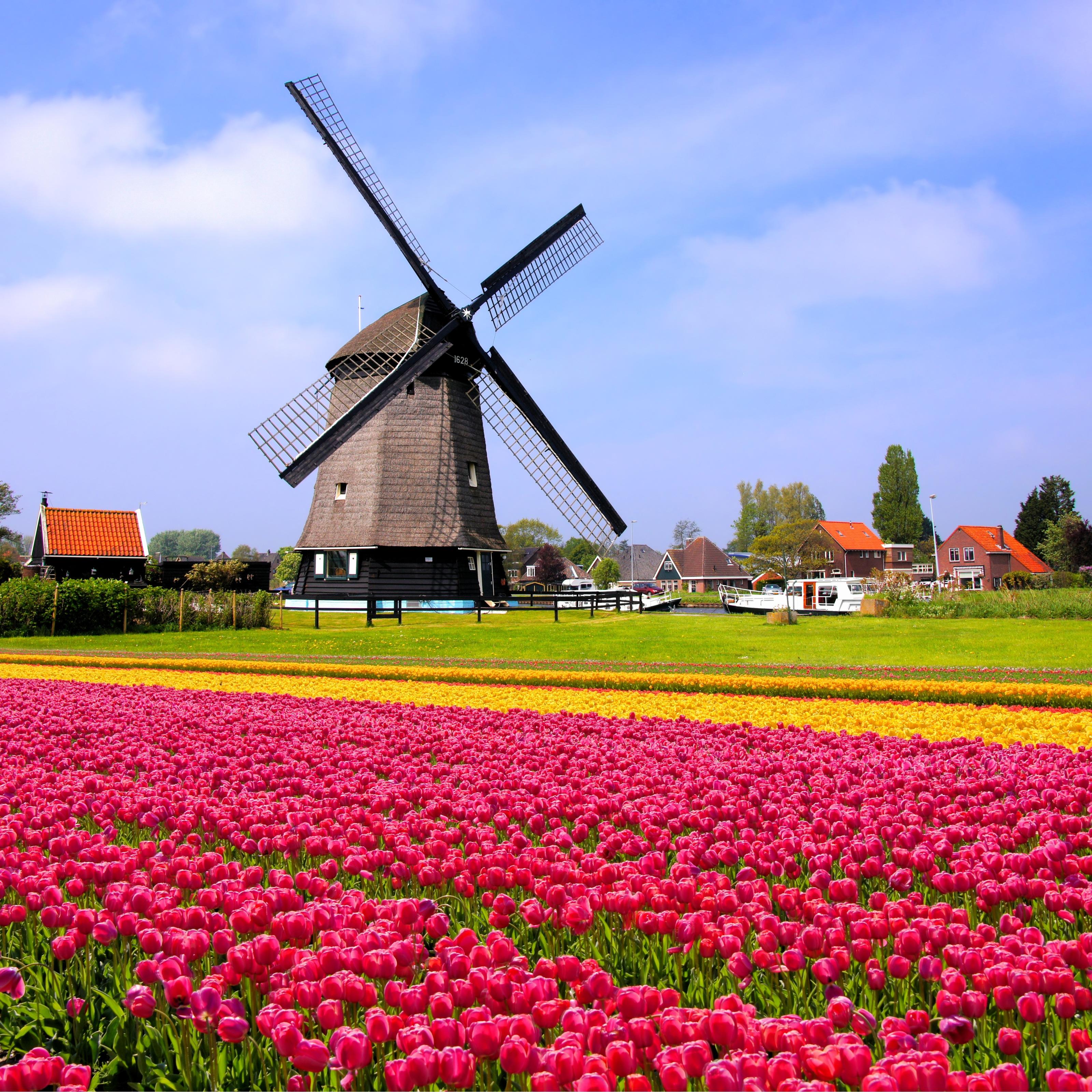 The Netherlands Wallpapers Top Free The Netherlands Backgrounds