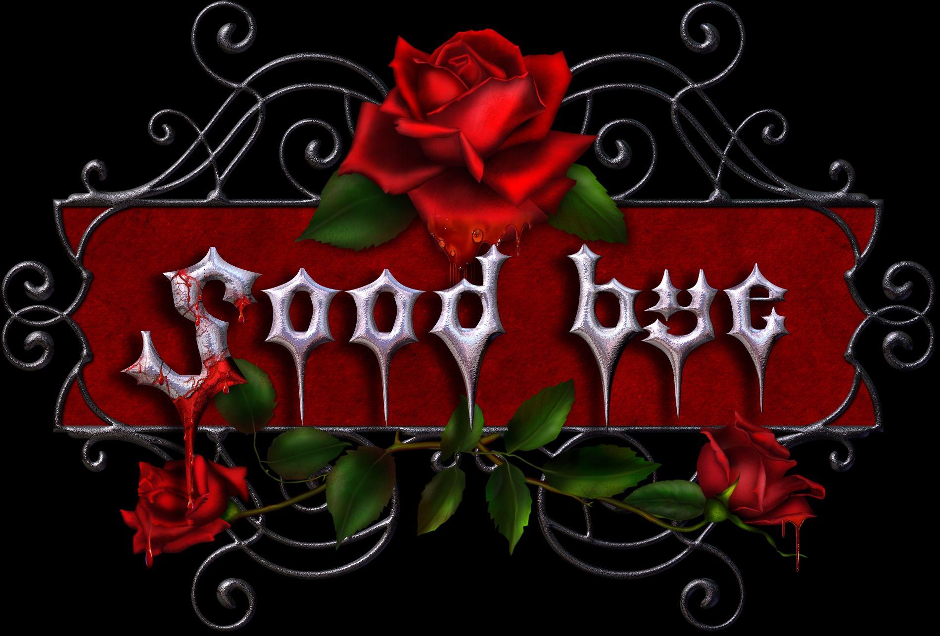 Blood Rose Wallpapers Top Free Blood Rose Backgrounds WallpaperAccess