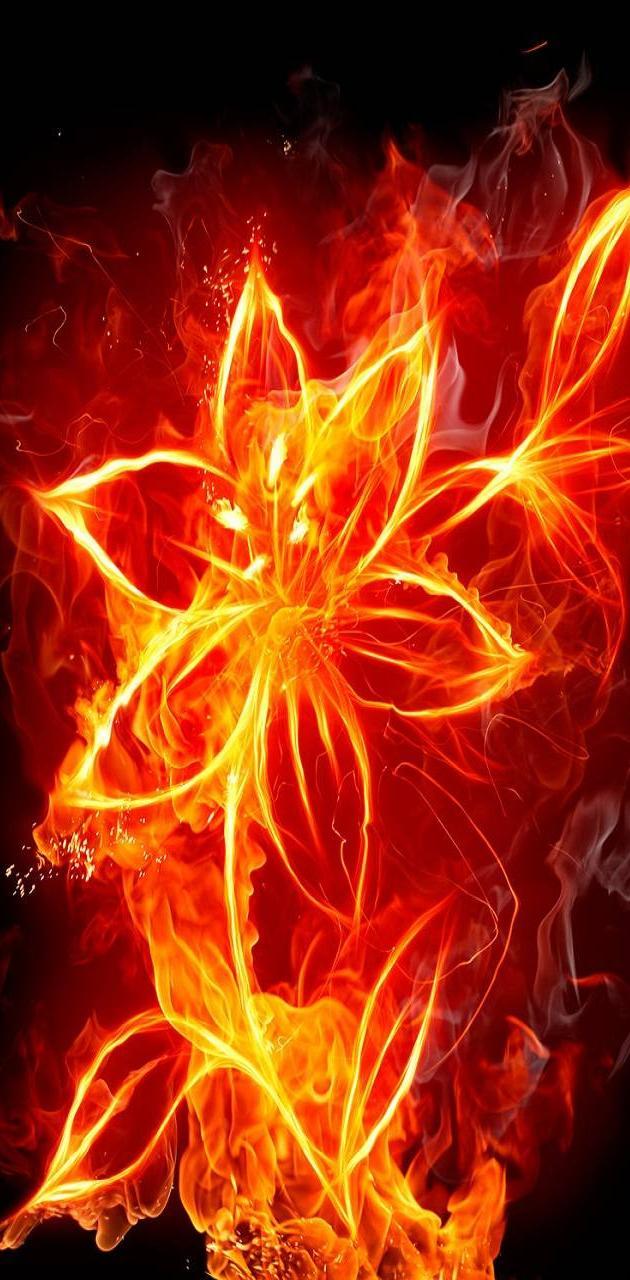 Fire Flower Wallpapers Top Free Fire Flower Backgrounds WallpaperAccess