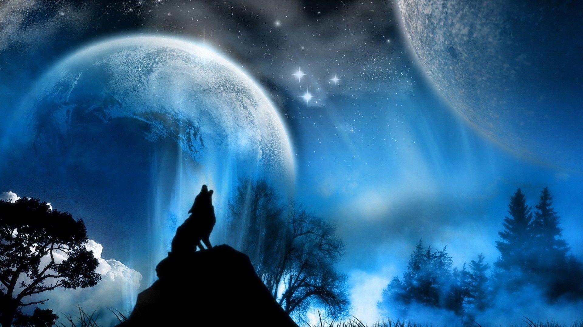 Black Wolf Howling Wallpapers Top Free Black Wolf Howling Backgrounds