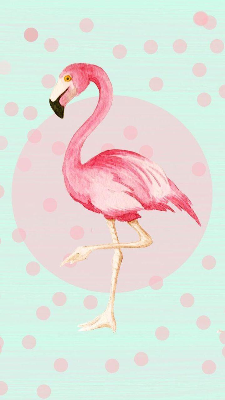 Wallpaper Hd Iphone Flamingo