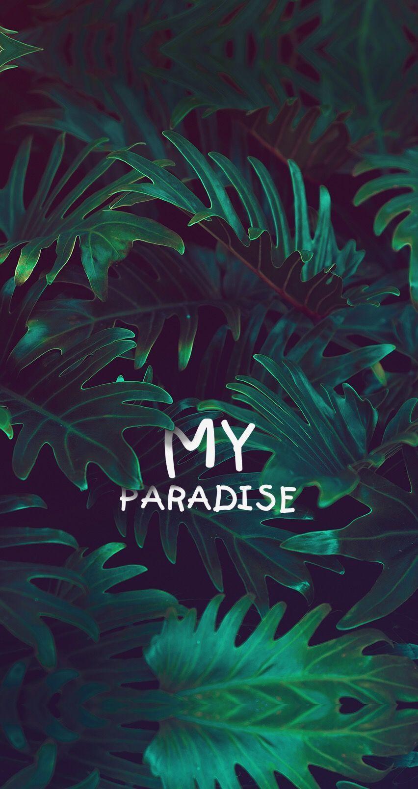 Dope Green Wallpapers Top Free Dope Green Backgrounds WallpaperAccess