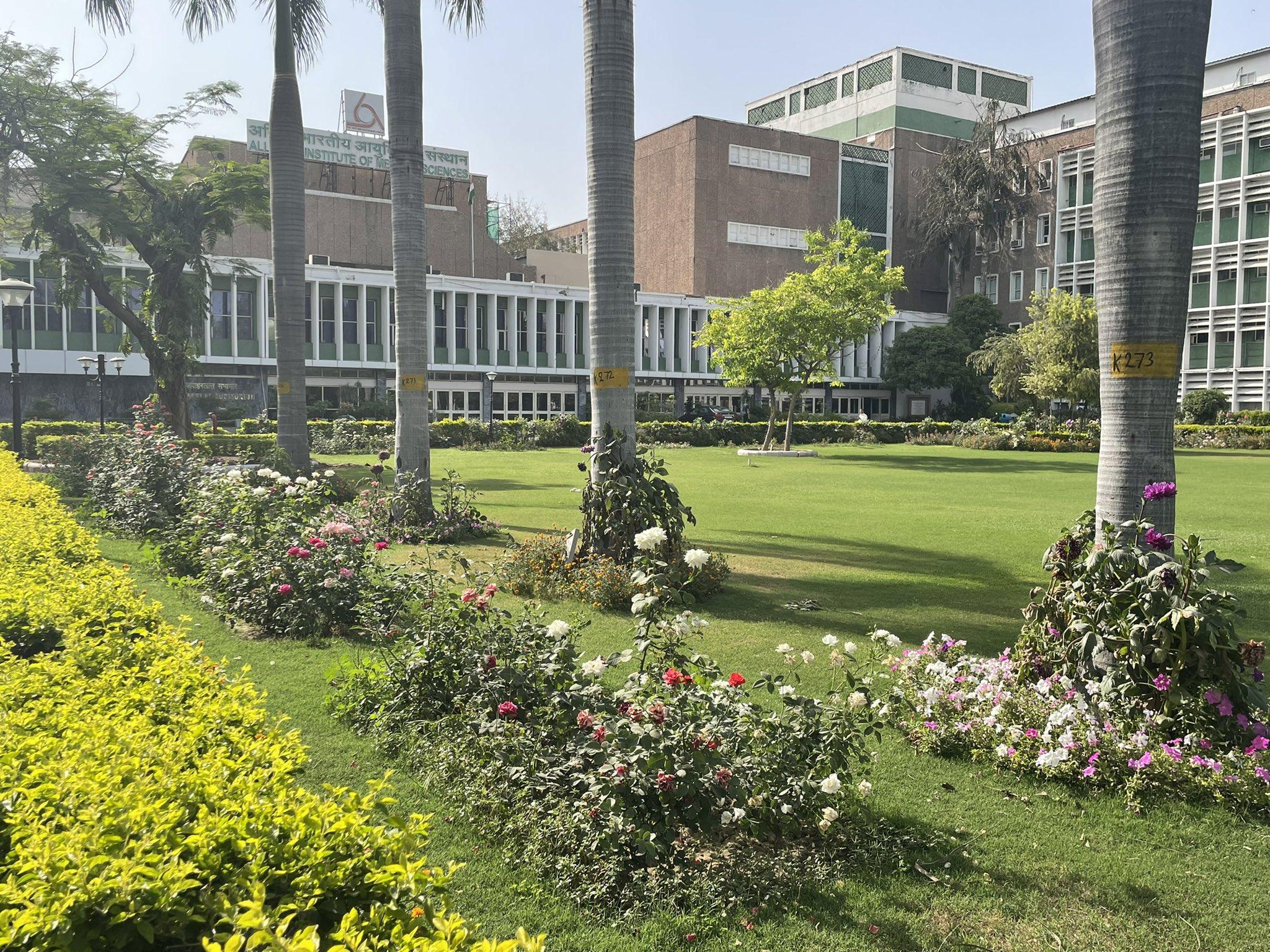 Aiims Delhi Wallpapers Top Free Aiims Delhi Backgrounds WallpaperAccess
