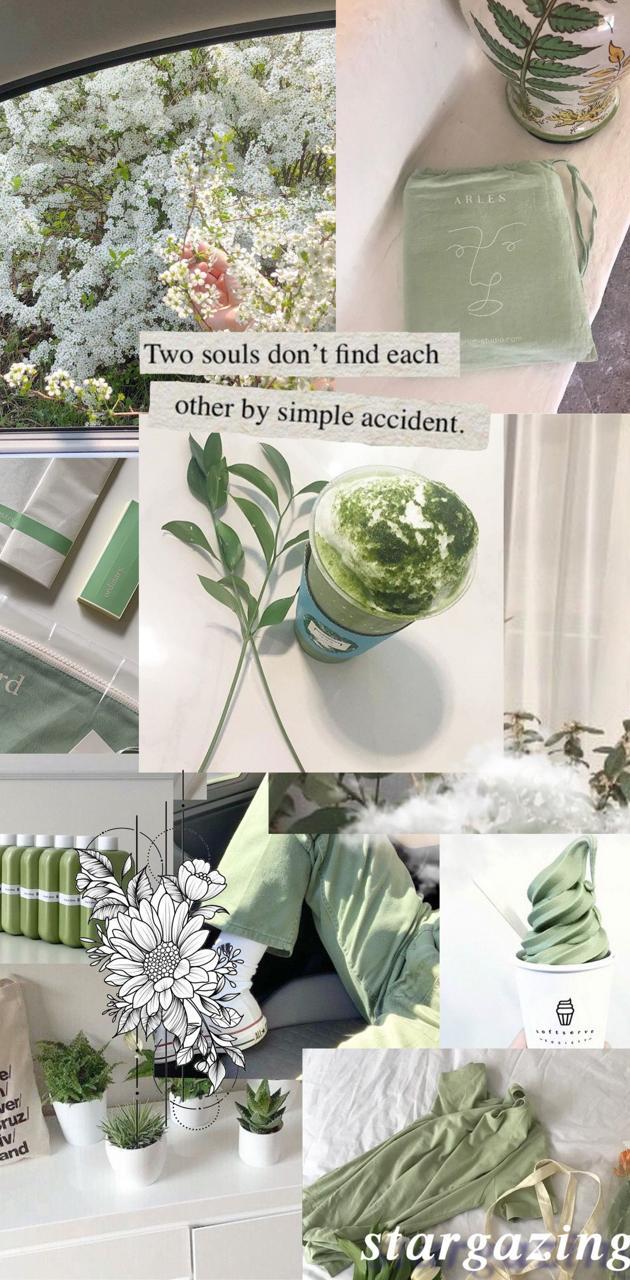 Matcha Green Wallpapers Top Free Matcha Green Backgrounds