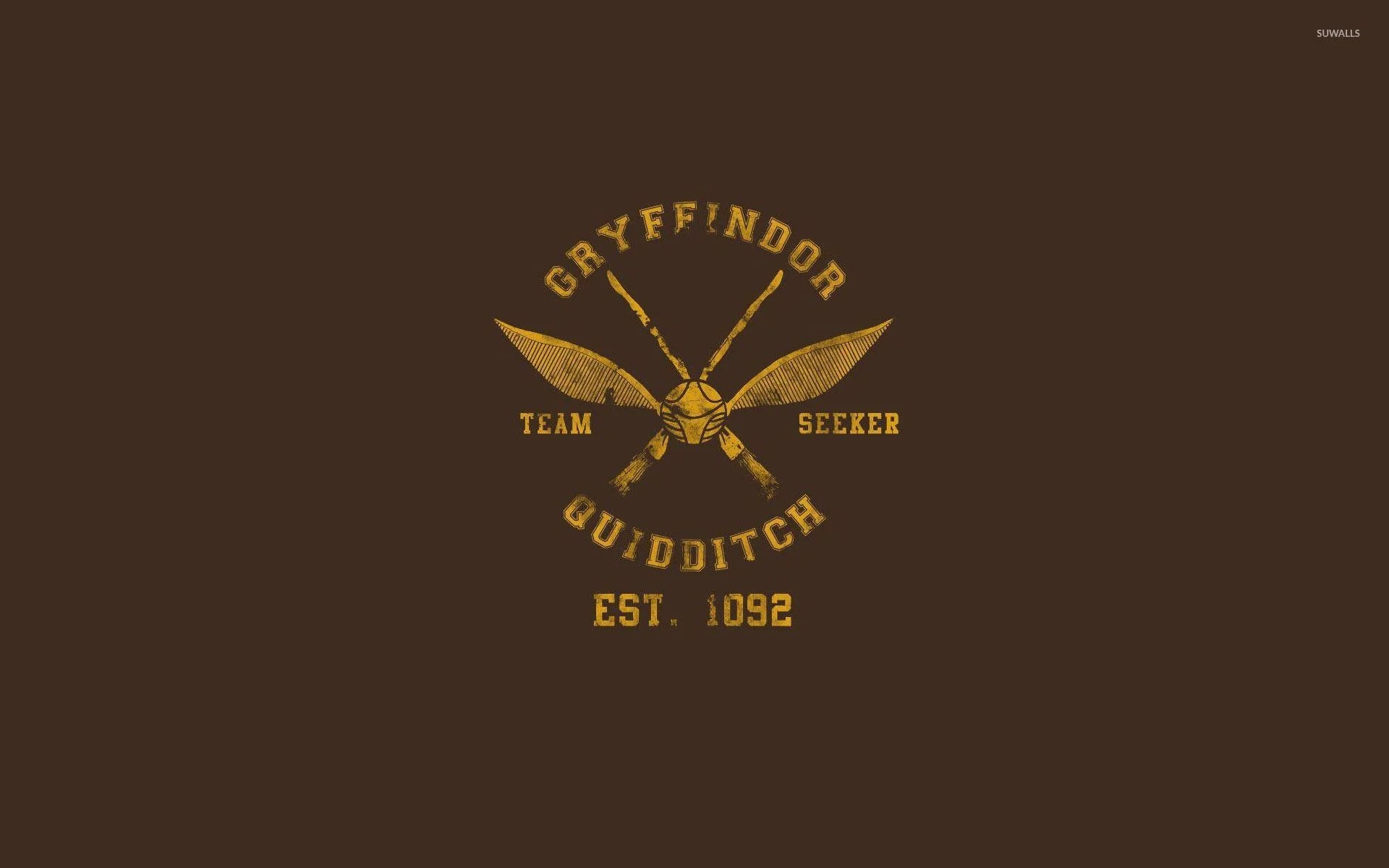 Harry Potter Quidditch Wallpapers Top Free Harry Potter Quidditch