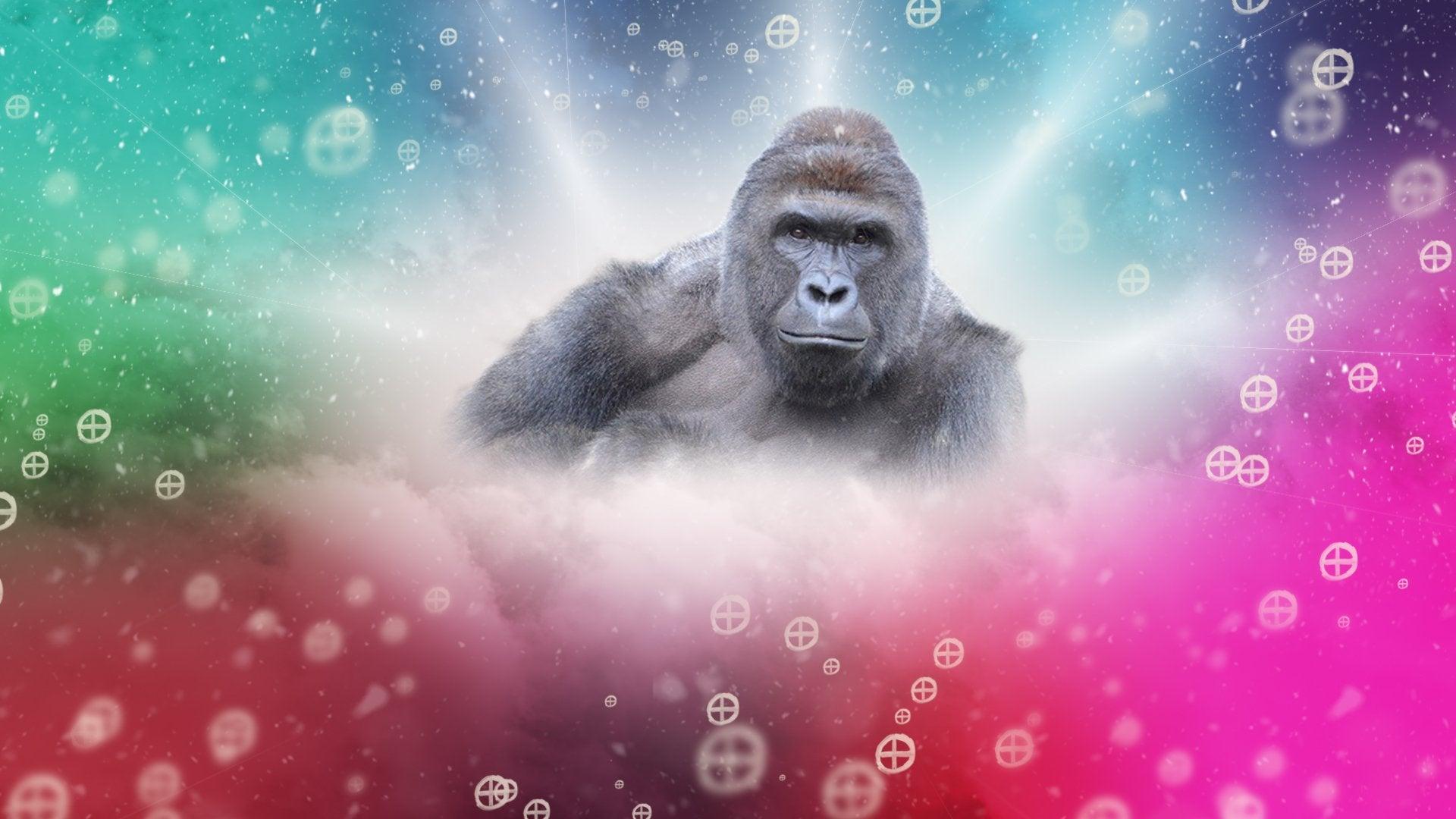 Top 141+ harambe wallpaper best 3tdesign.edu.vn