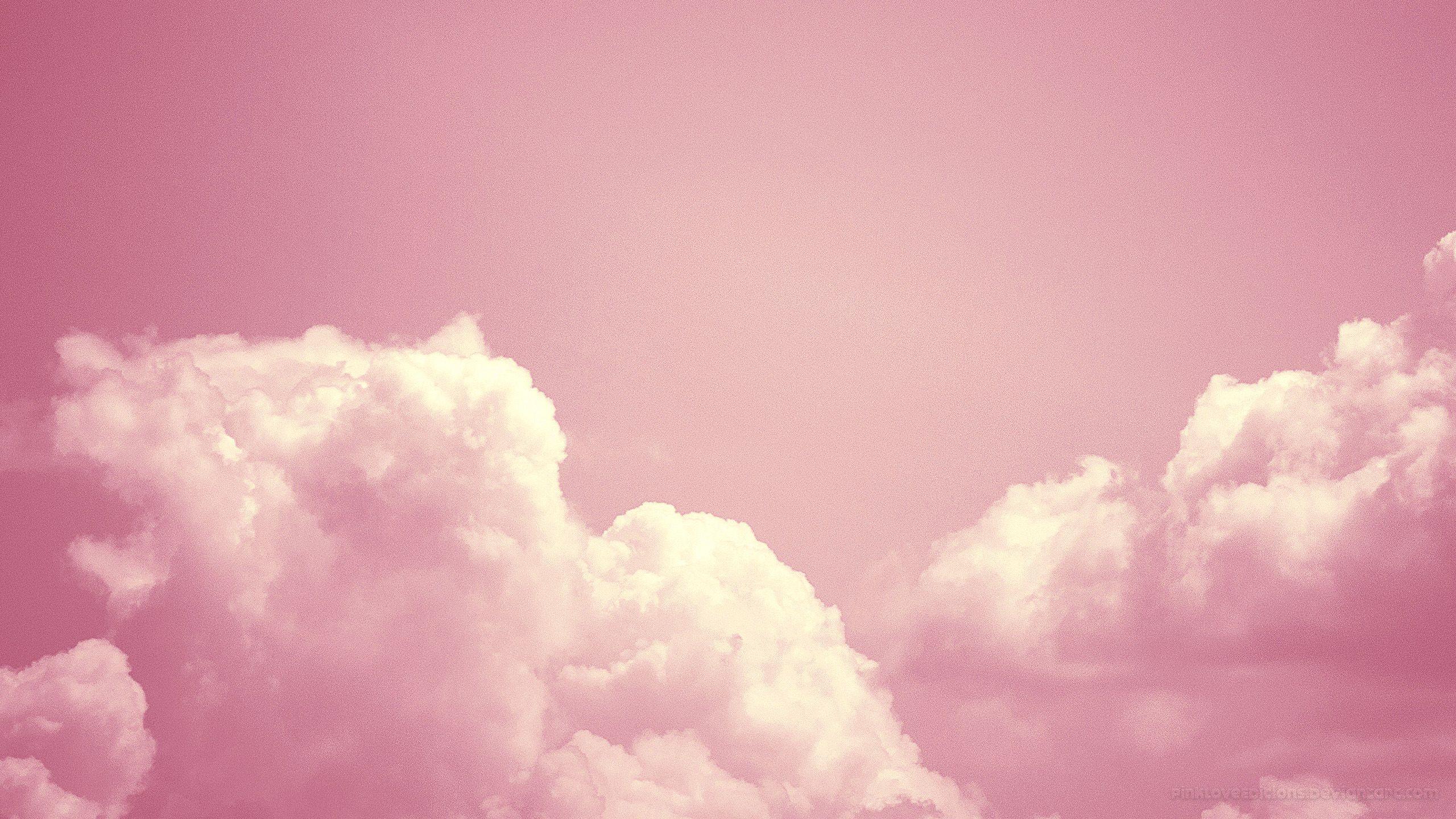 2560X1440 Pink Wallpapers Top Free 2560X1440 Pink