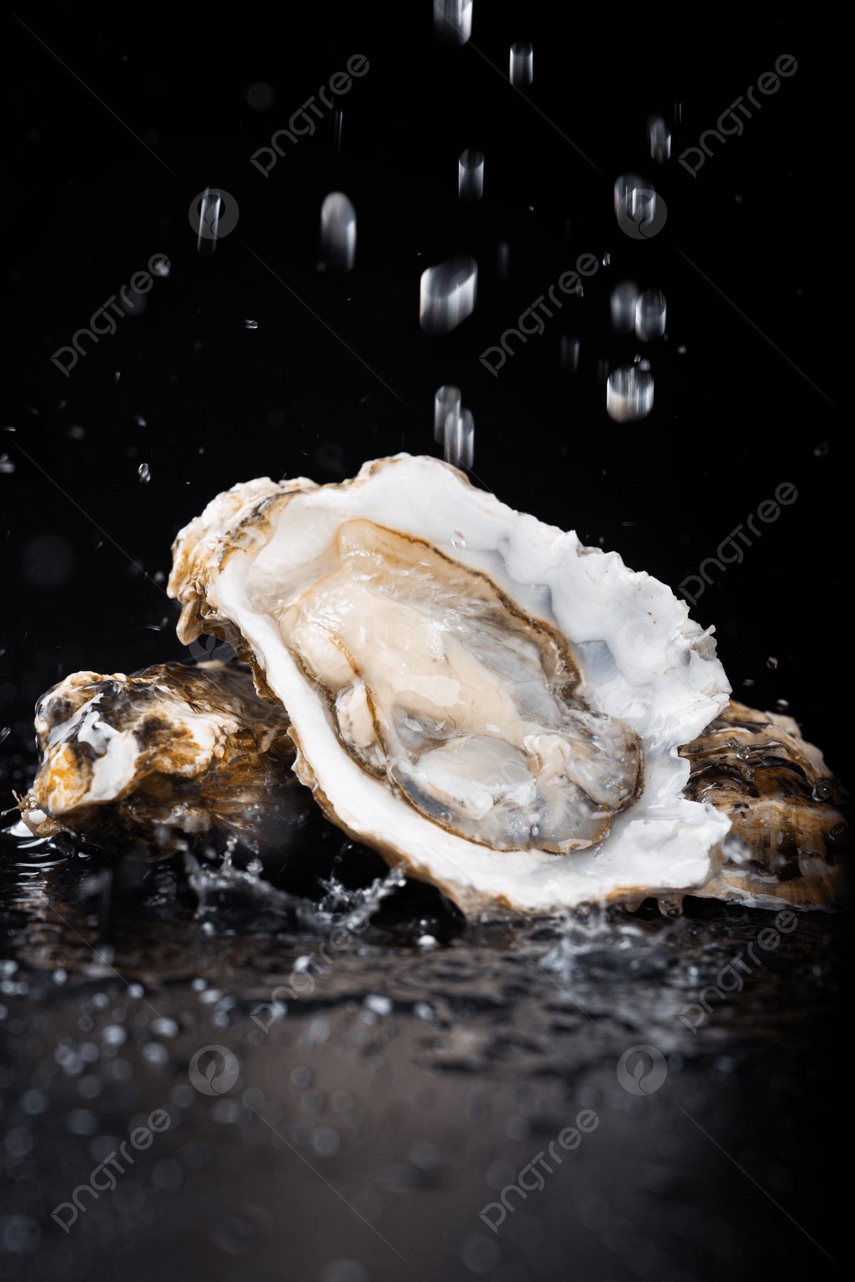 Oysters Wallpapers Top Free Oysters Backgrounds WallpaperAccess