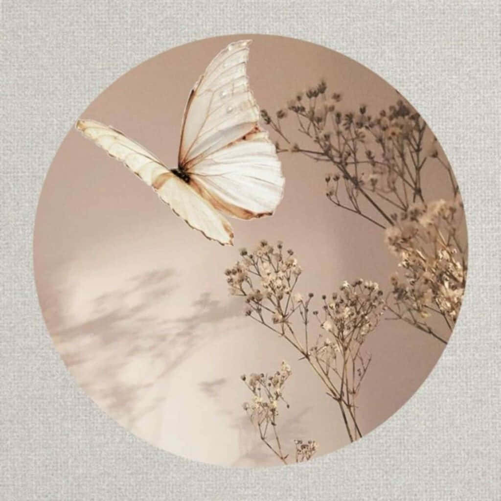 Cute Profile Wallpapers Top Free Cute Profile Backgrounds