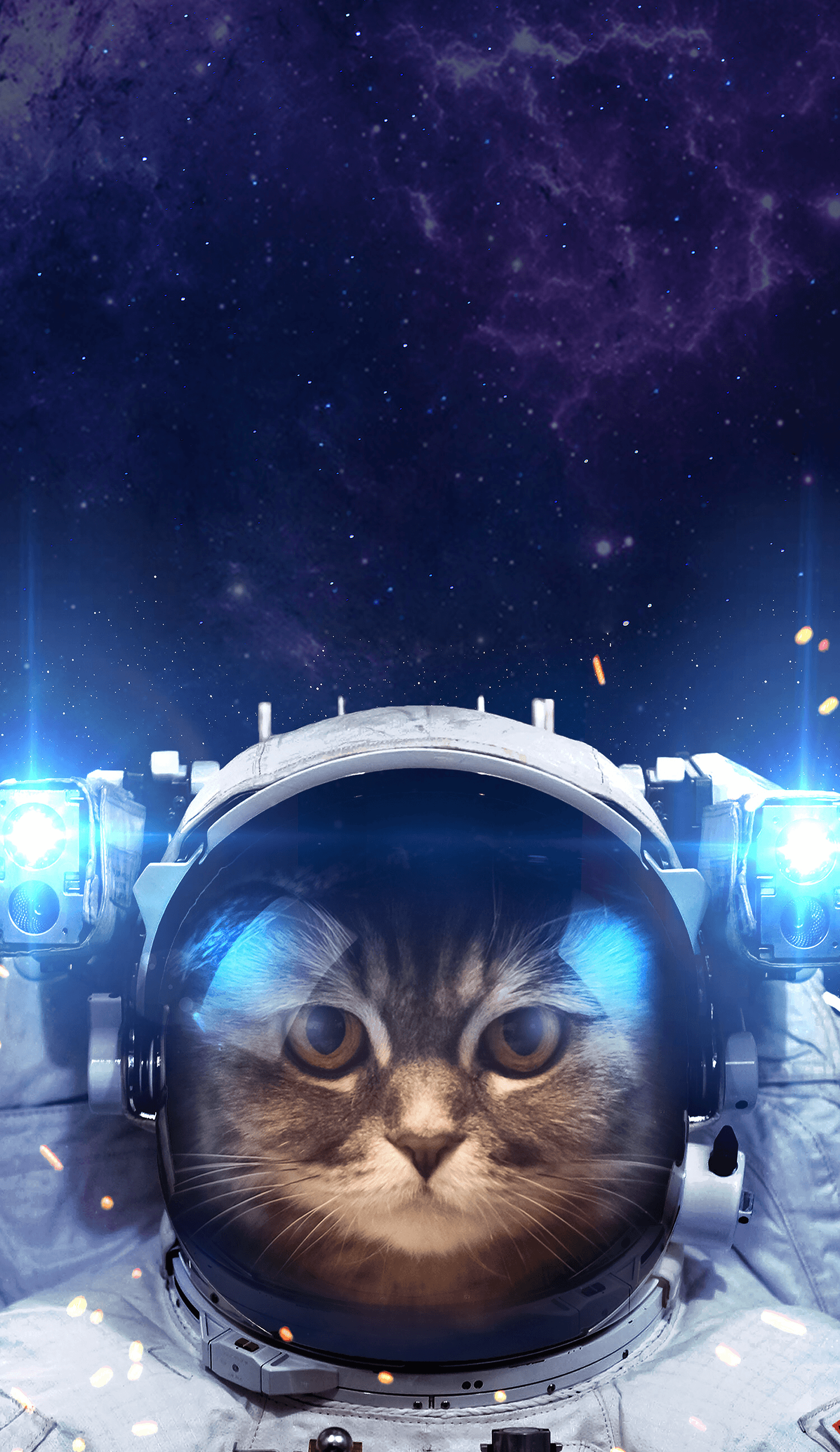 Astronaut Cat Phone Wallpapers Top Free Astronaut Cat Phone