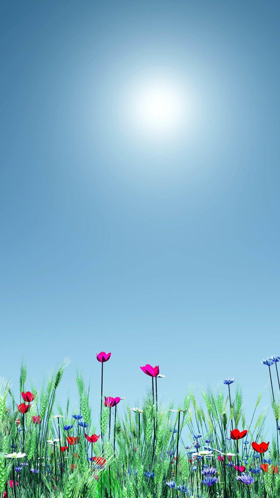 Best Flower Scenery Wallpapers Parketis