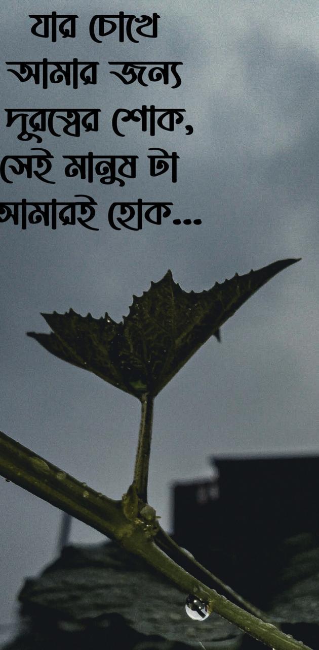 Bengali Wallpapers Top Free Bengali Backgrounds WallpaperAccess