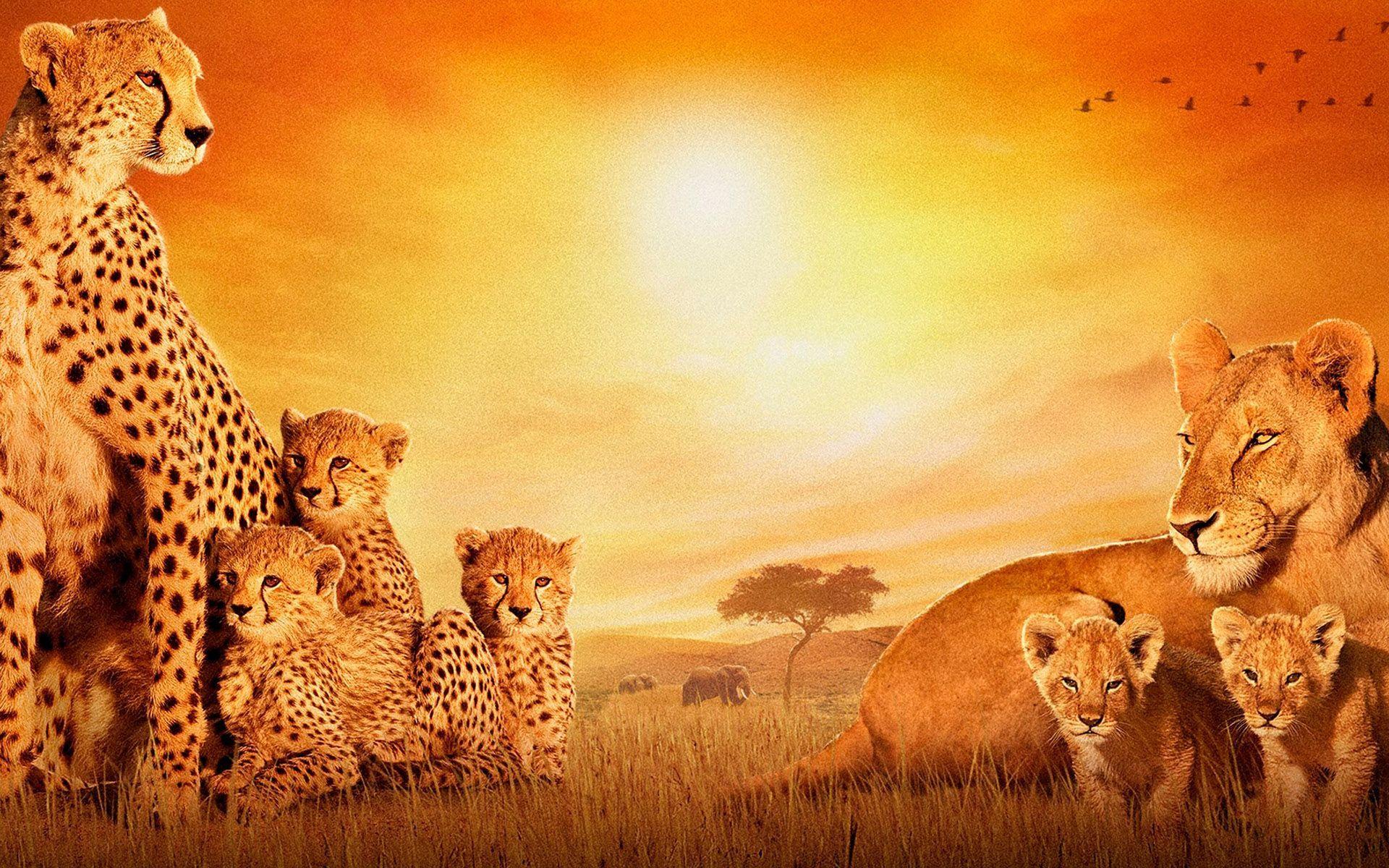 Ancient African Wallpapers Top Free Ancient African Backgrounds