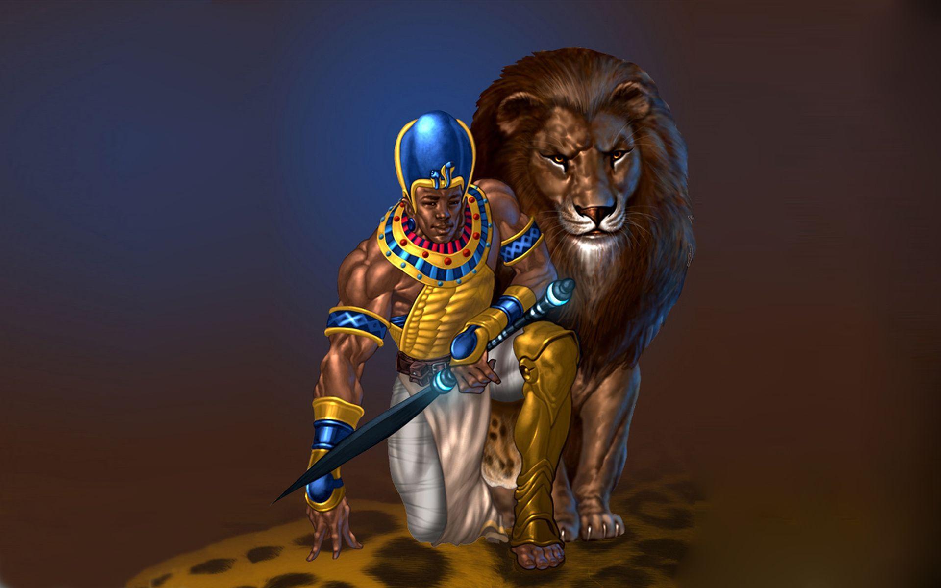 African Warrior Wallpapers Top Free African Warrior Backgrounds