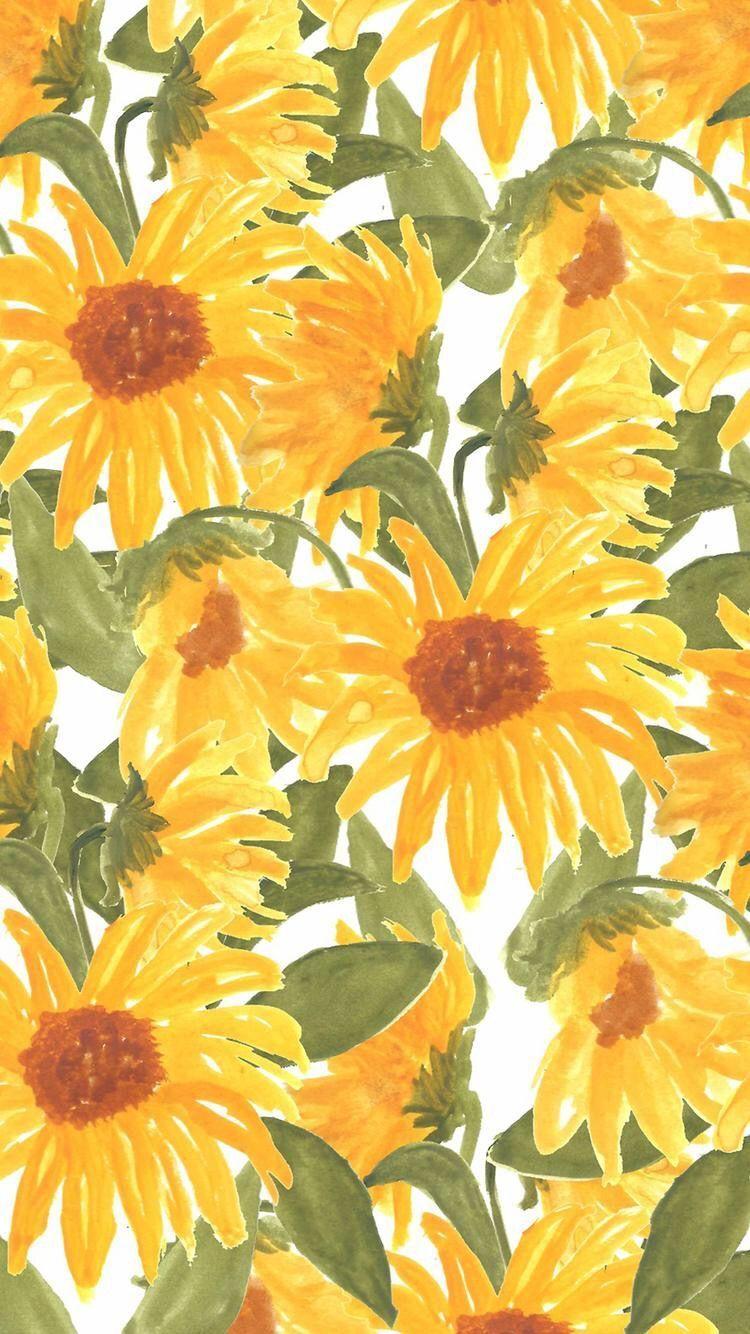 Yellow Flower Aesthetic Wallpapers Top Free Yellow Flower Aesthetic