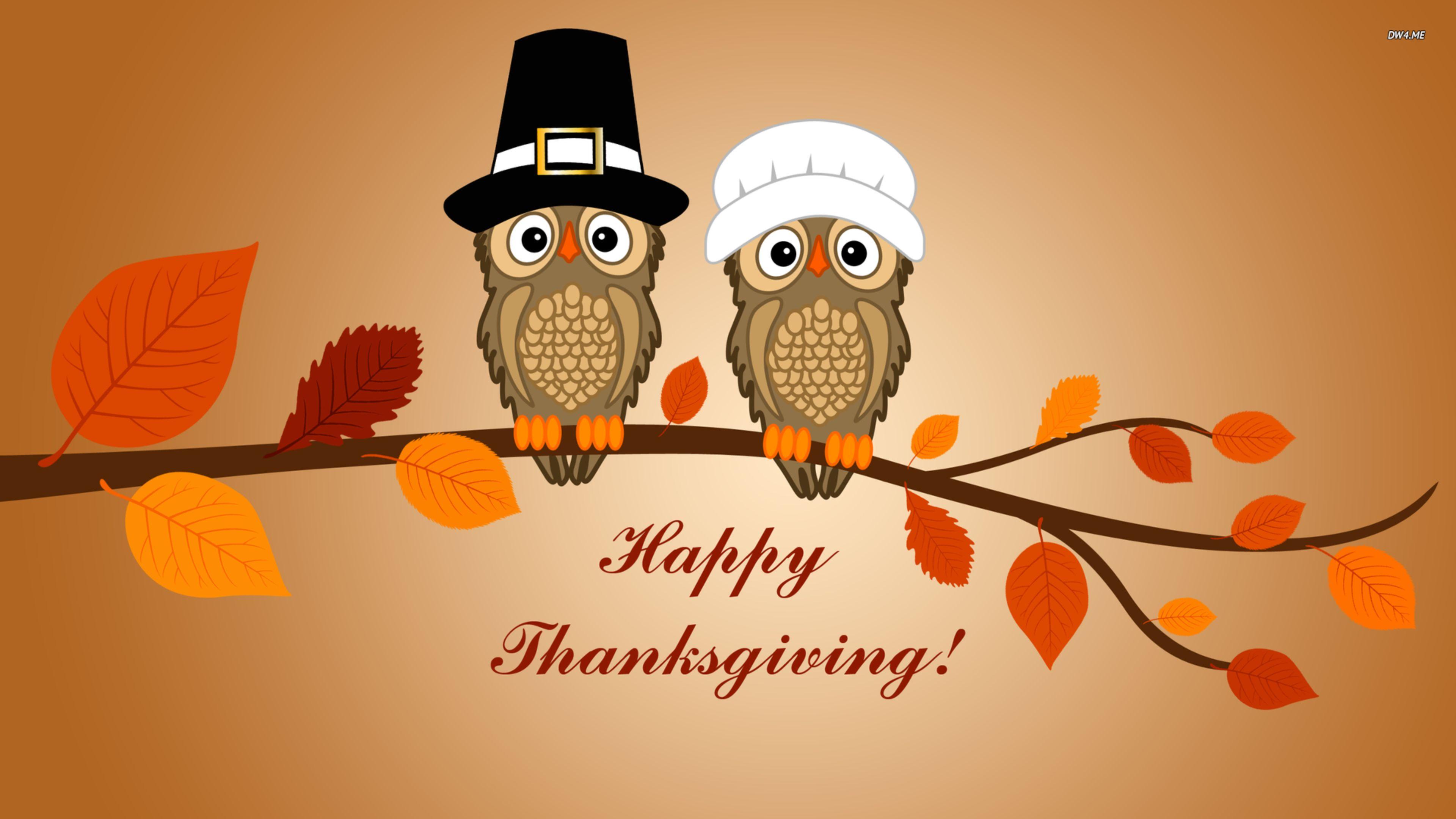 Thanksgiving 4K Wallpapers Top Free Thanksgiving 4K