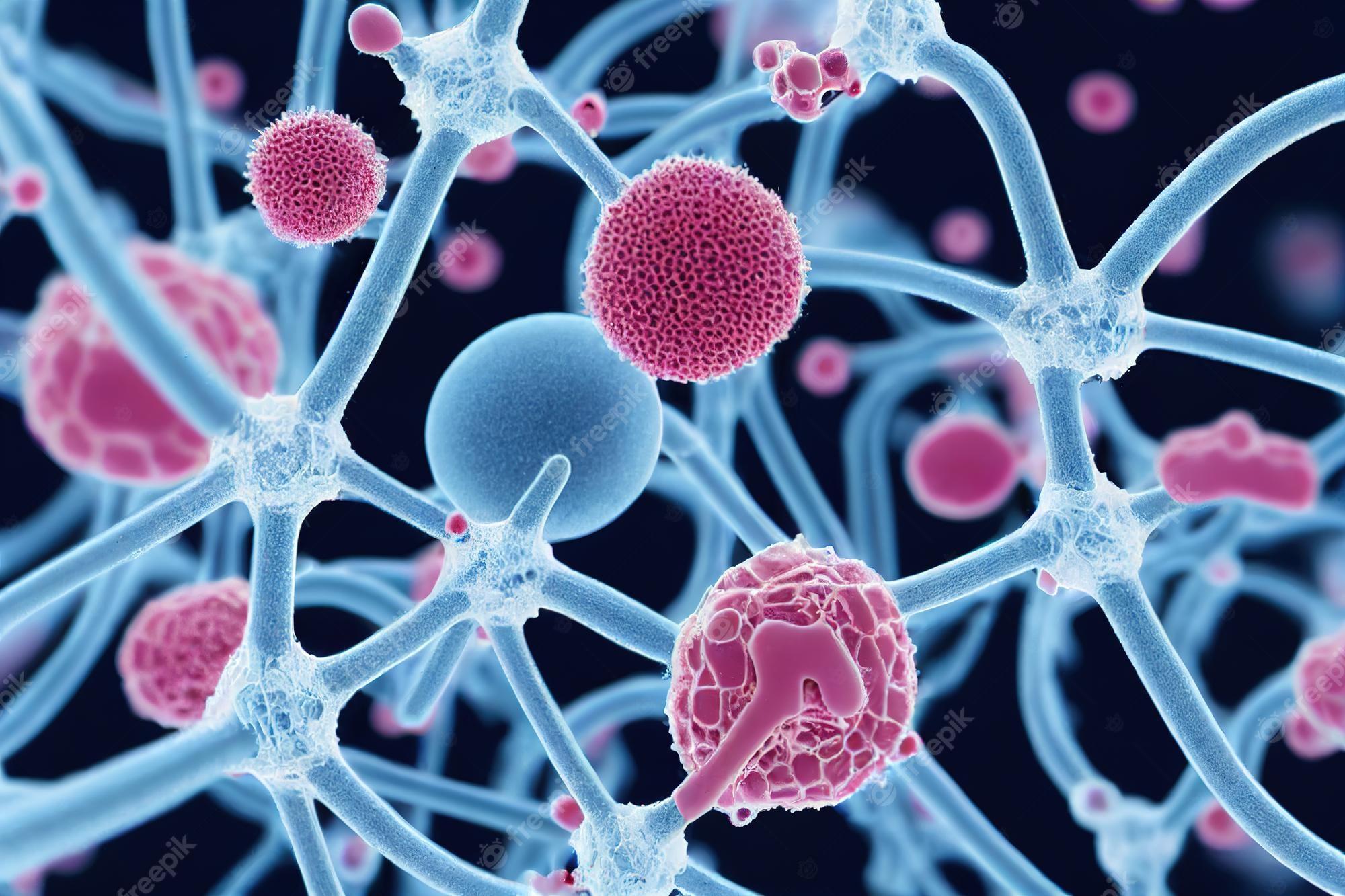 Nucleus Wallpapers - Top Free Nucleus Backgrounds - WallpaperAccess