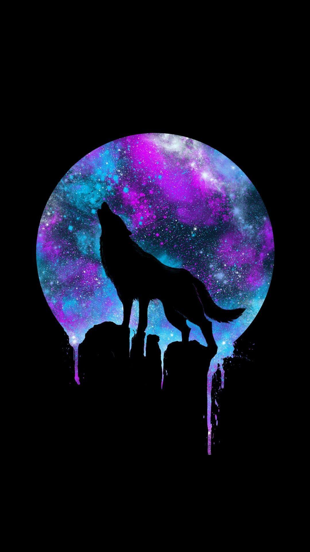Colorful Wolf Wallpapers Top Free Colorful Wolf